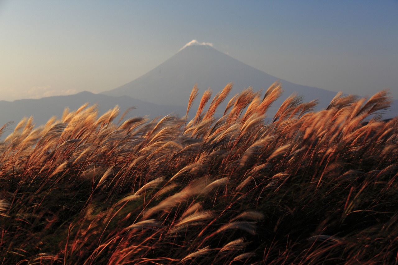 巣雲山