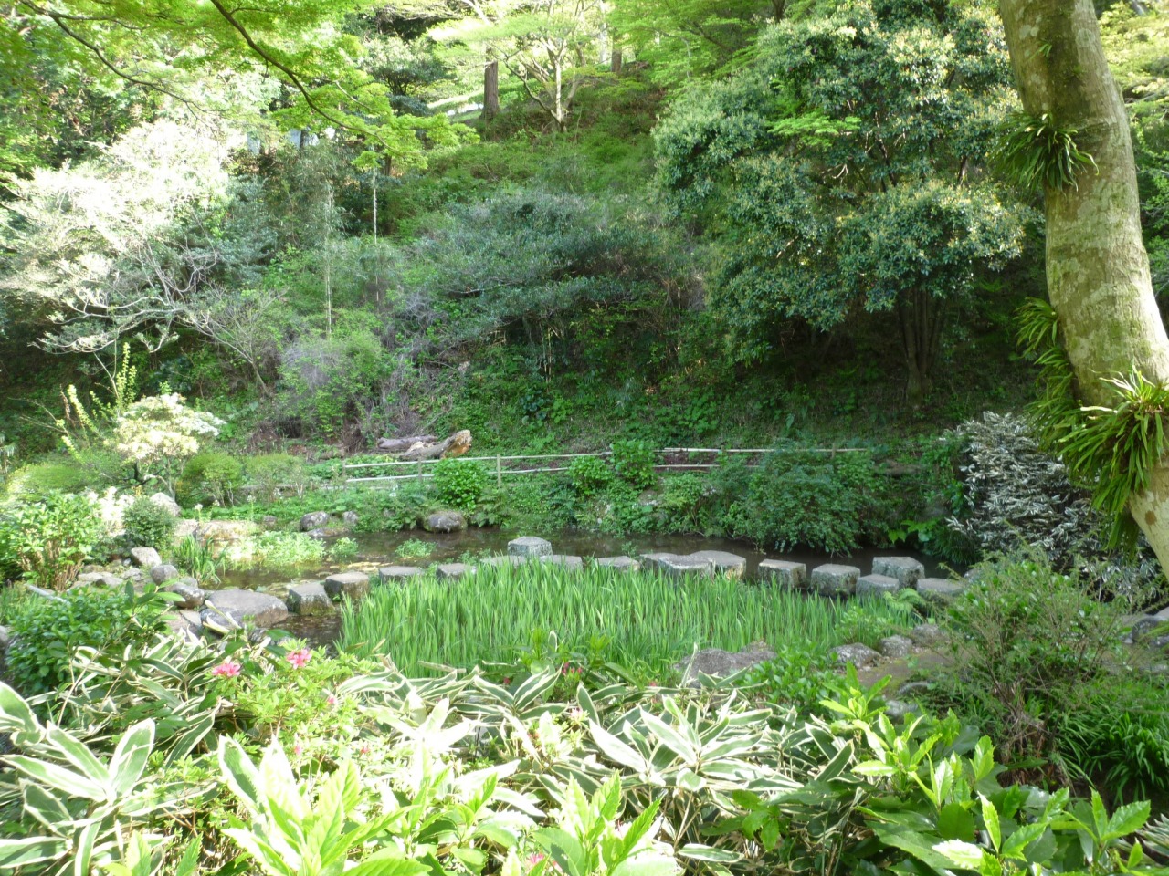 丸山公園