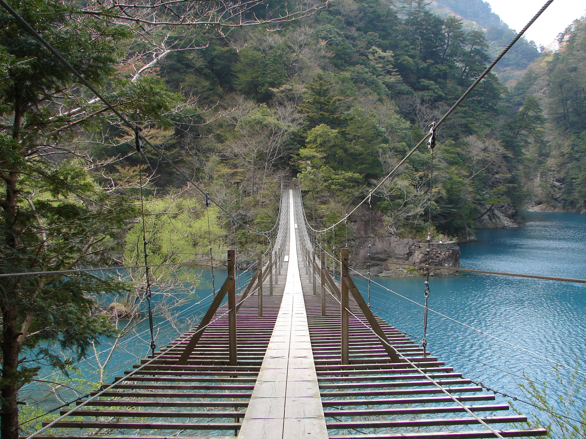 夢のつり橋 ハローナビしずおか 静岡県観光情報