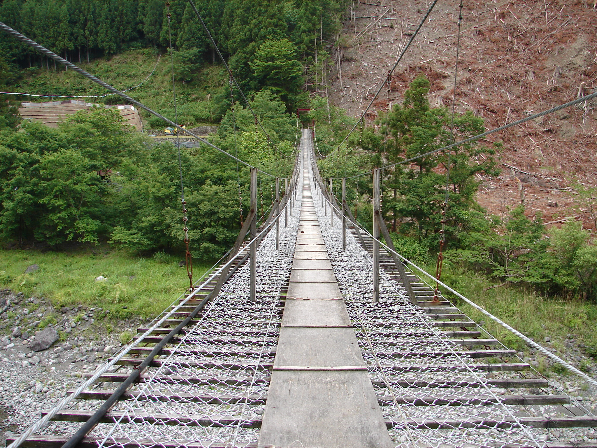 遊湯橋