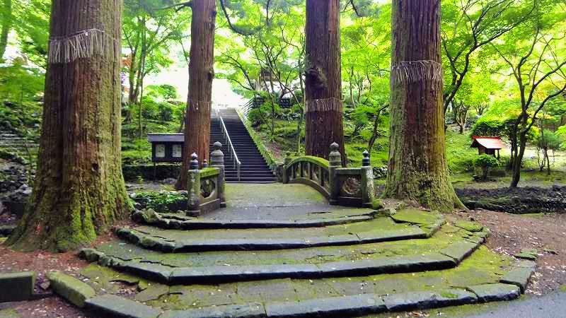 四本杉(山門代りに佇む四本の老杉)