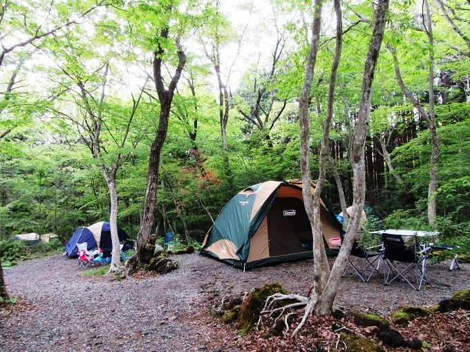 富士市保健休養林丸火自然公園グリーンキャンプ場