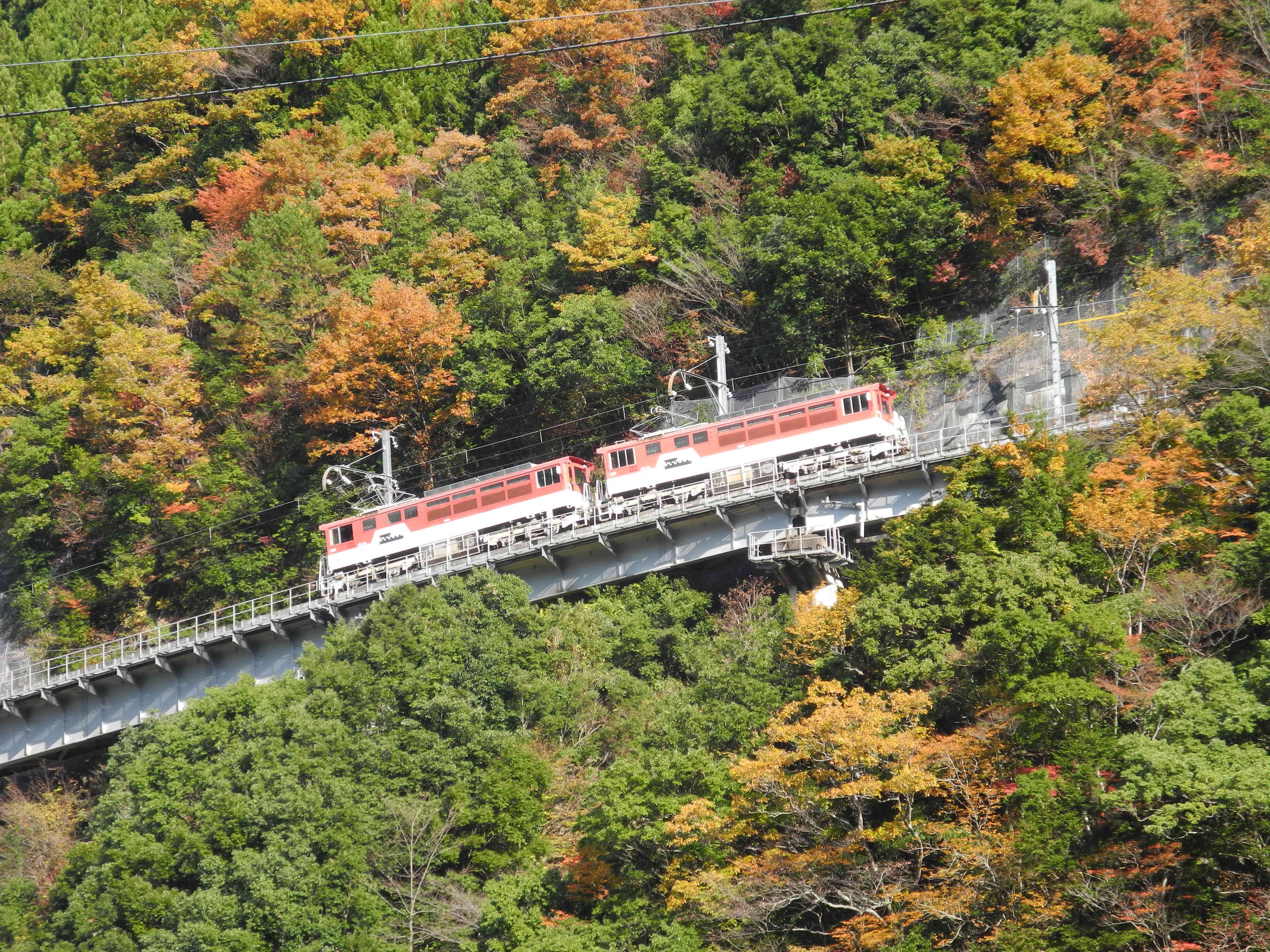 紅葉の中を走るアプト区間を正面にキャンプができます。