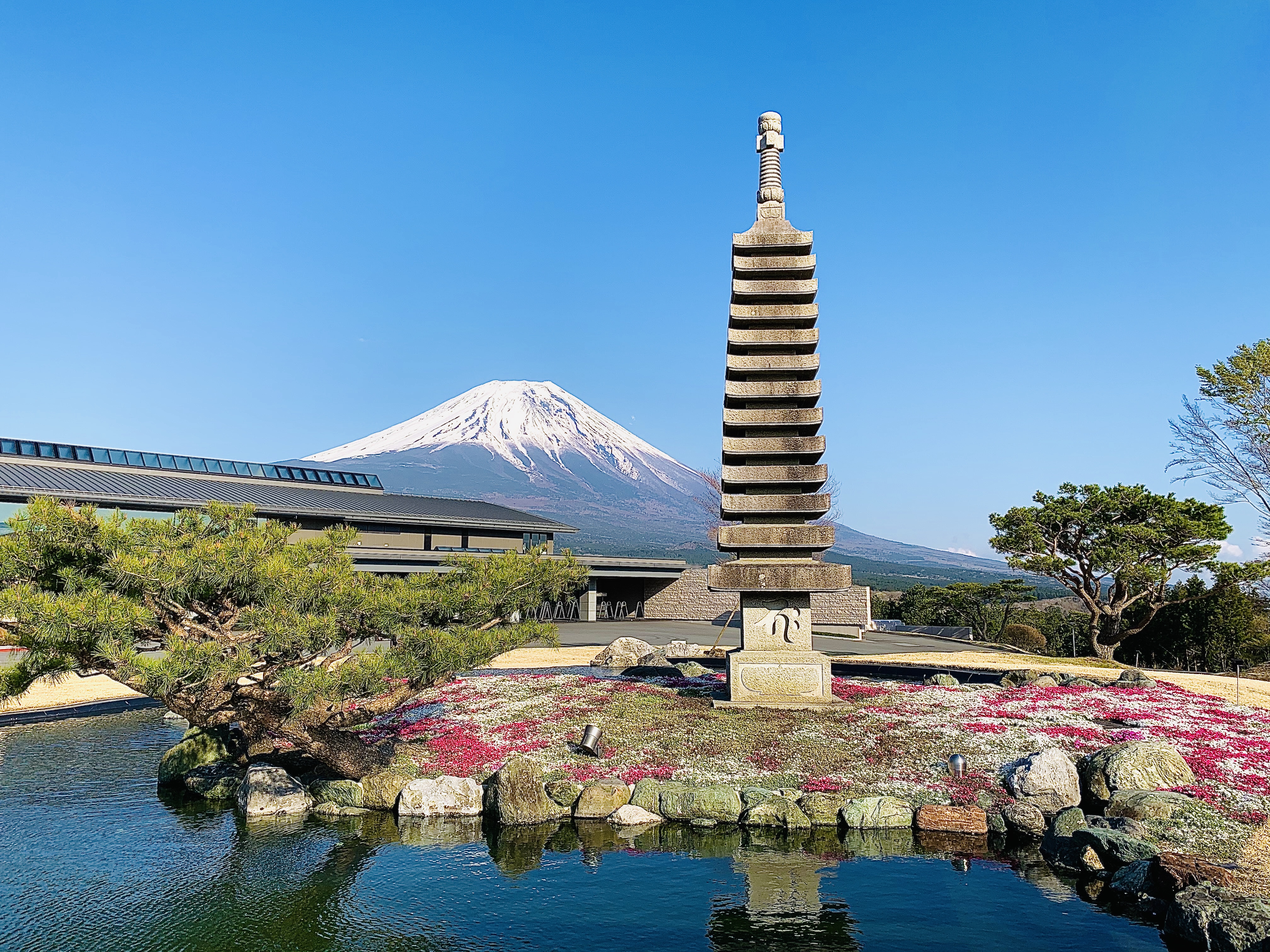 ゴールデンウィークの頃には霊峰富士と咲き誇る芝桜をご堪能ください