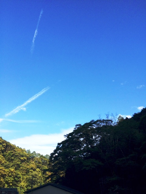 宿の周りの景色