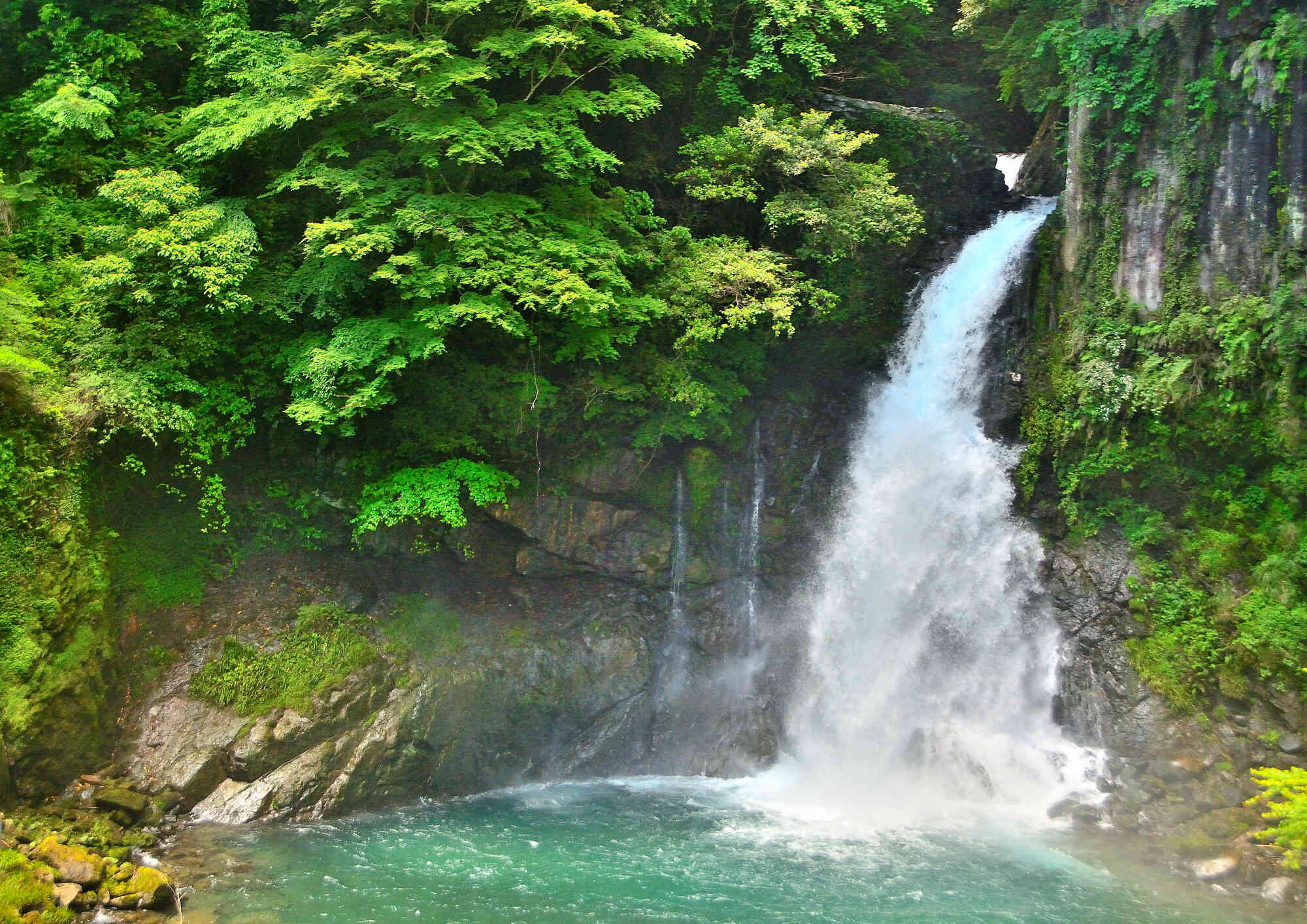 河津七滝の1つ大滝