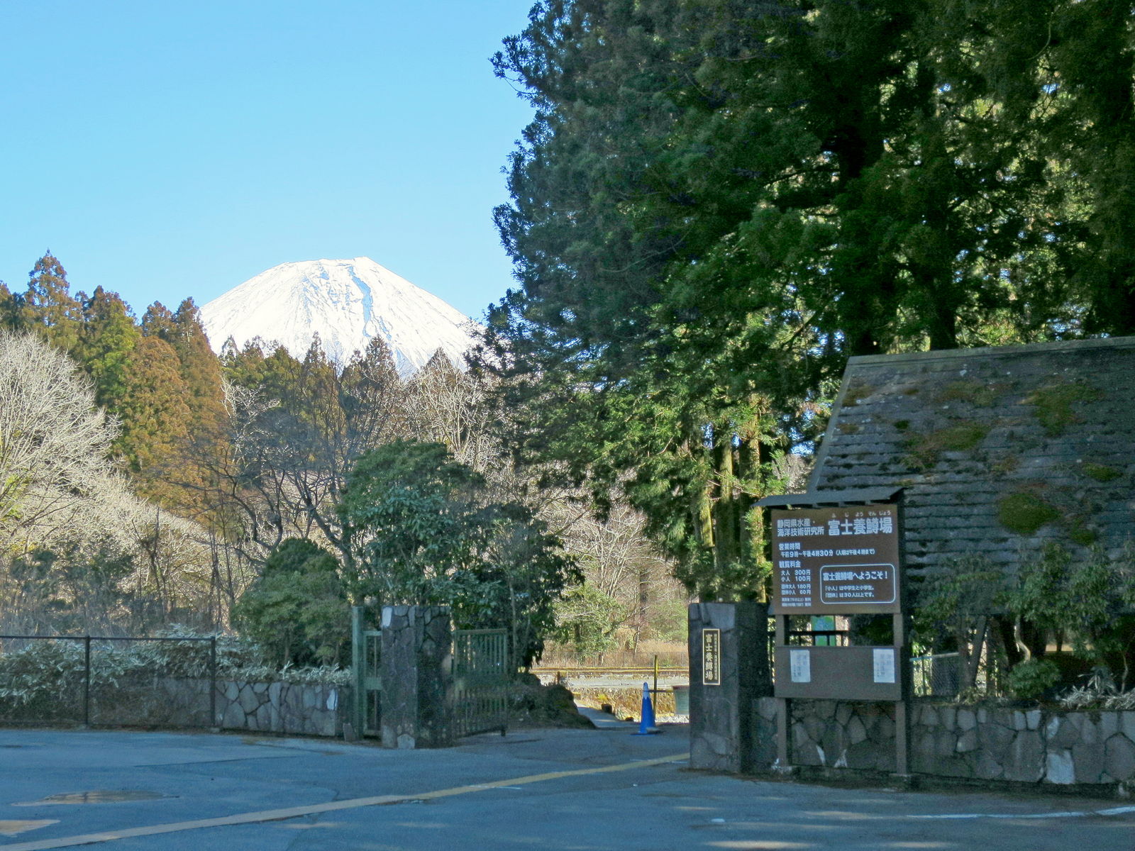 富士養鱒場・入口