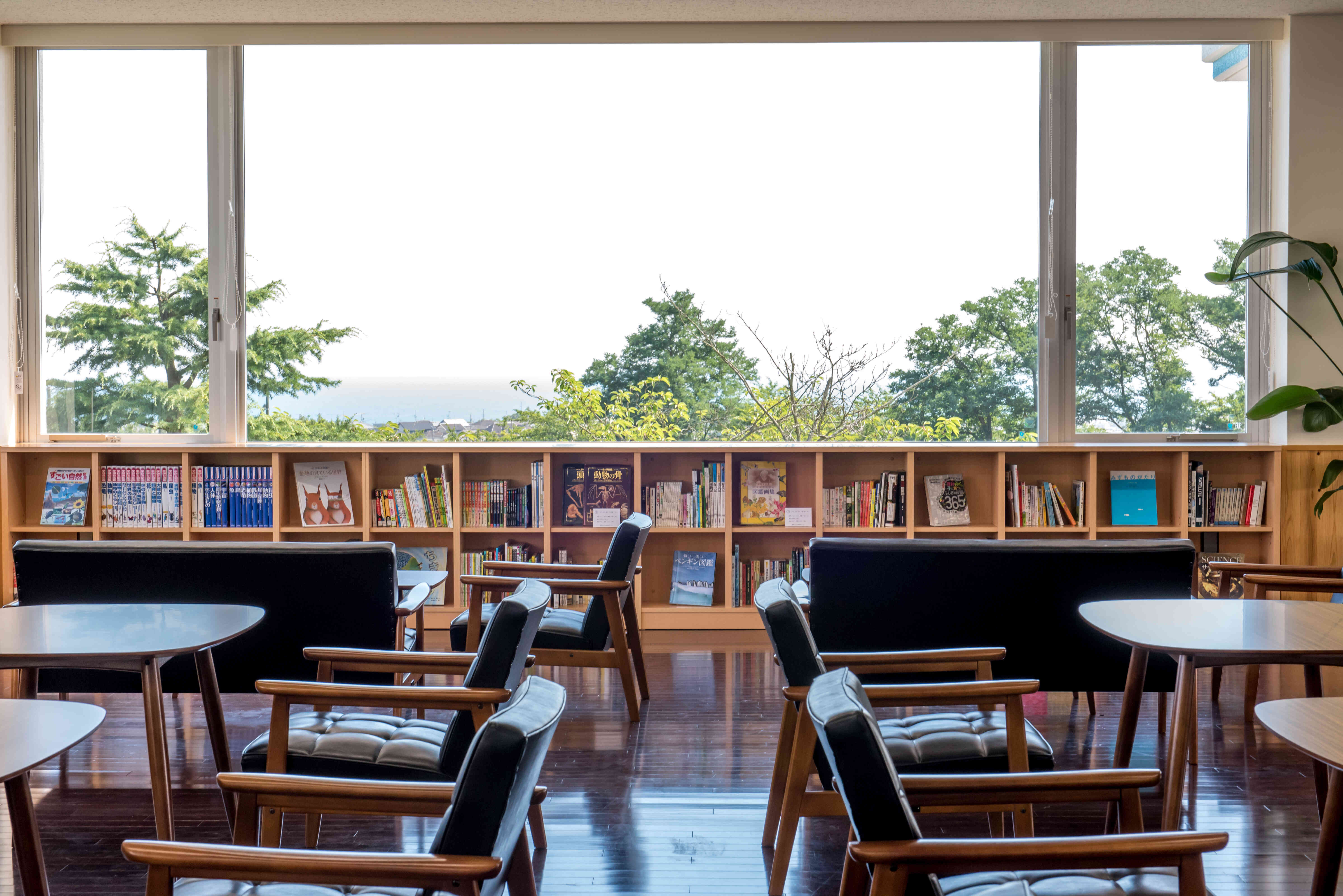 無料スペース「図鑑カフェ」
駿河湾も一望することができます