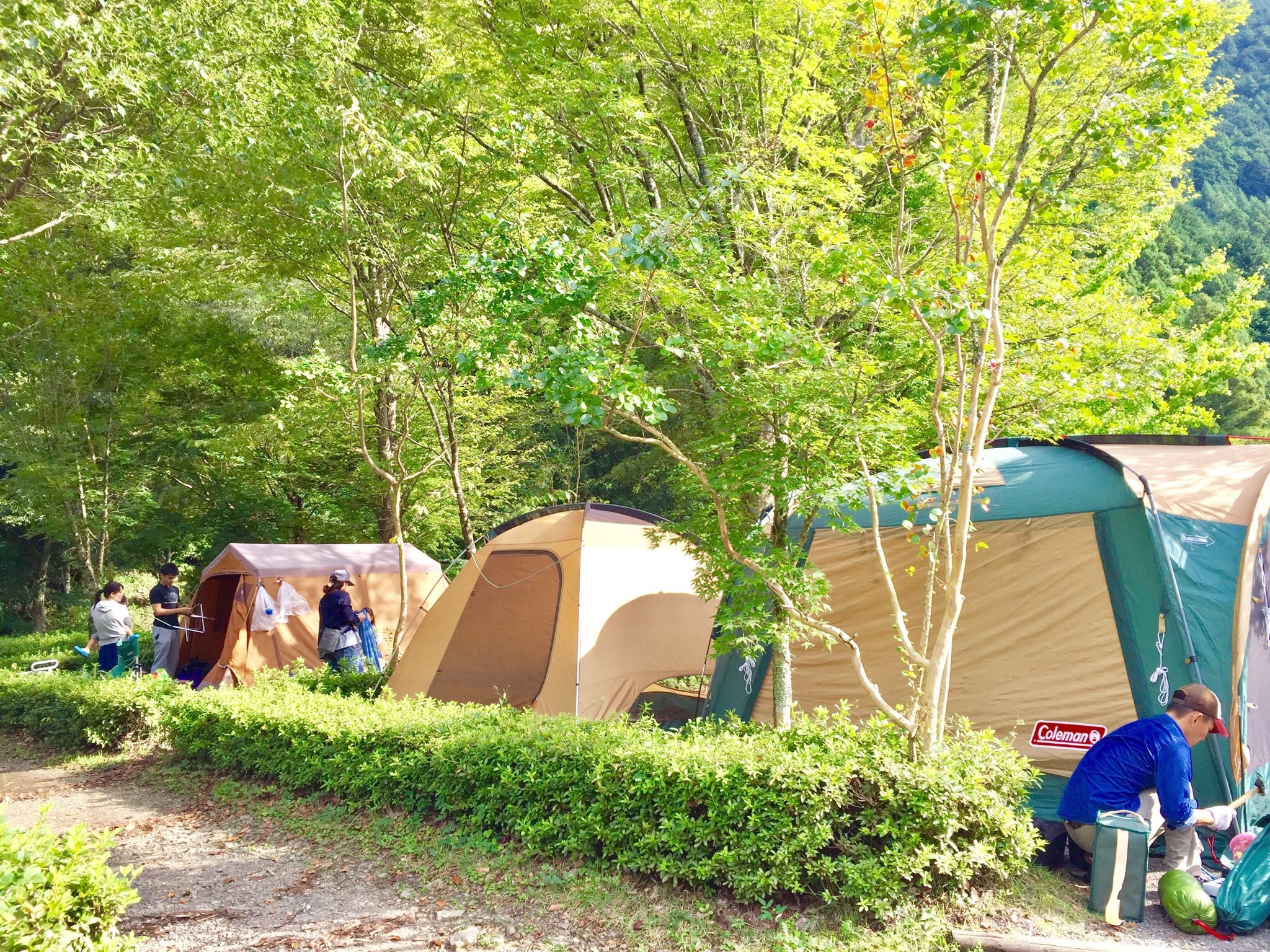 キャンプ場テントサイト