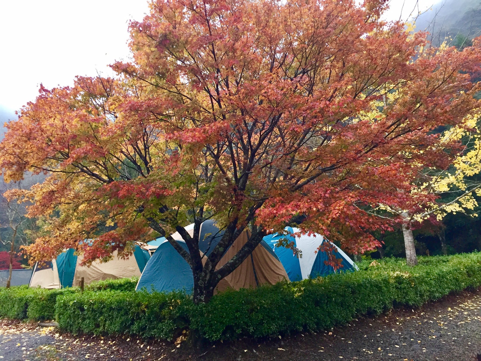 キャンプ場　親水プール