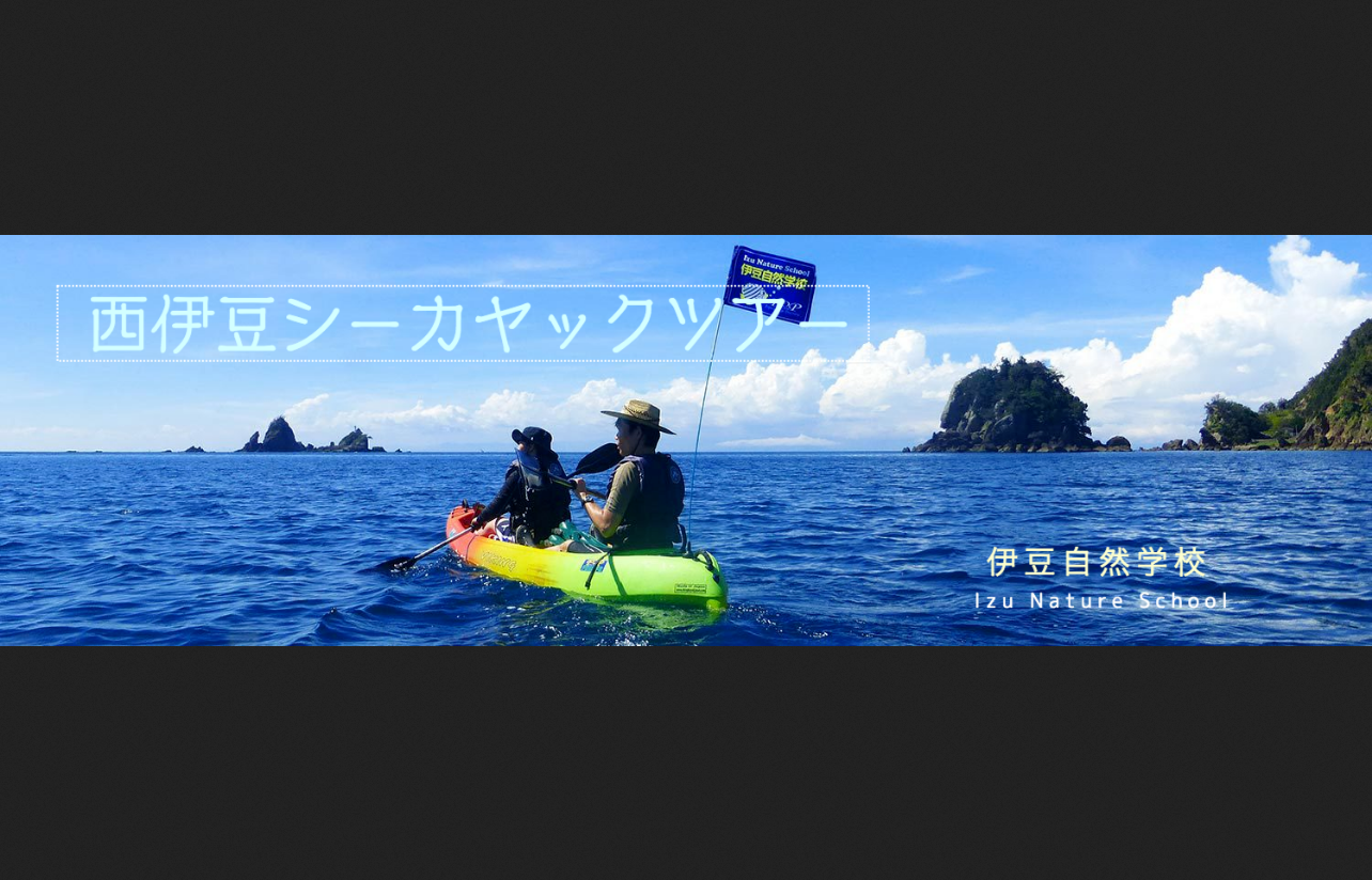 西伊豆シーカヤックツアー。透明な海を満喫できる。洞窟や狭いトンネルにイン！名物ガイドのたっちゃんがご案内