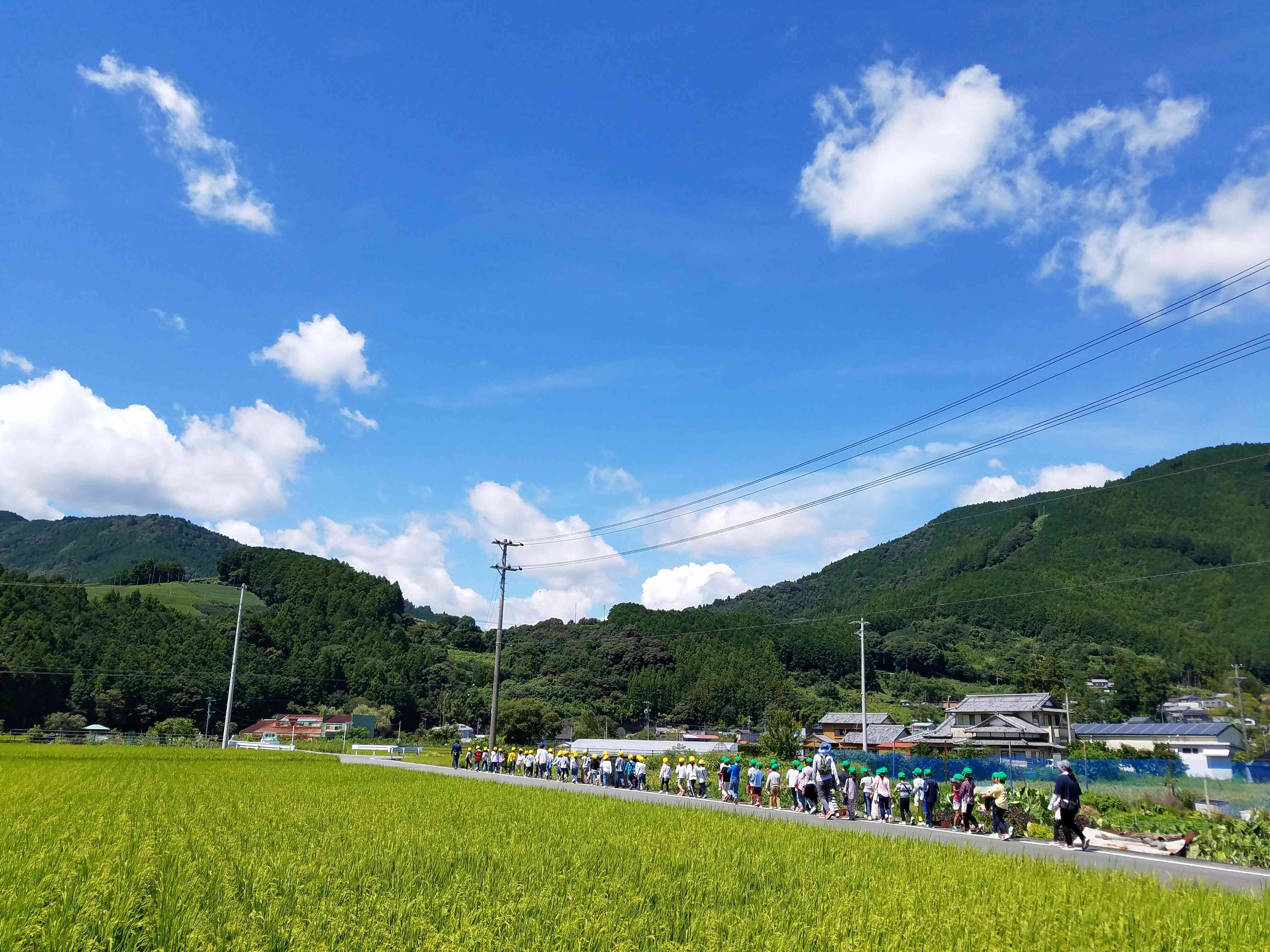 のどかな田園に囲まれ、川遊びスポットなど自然がいっぱい。