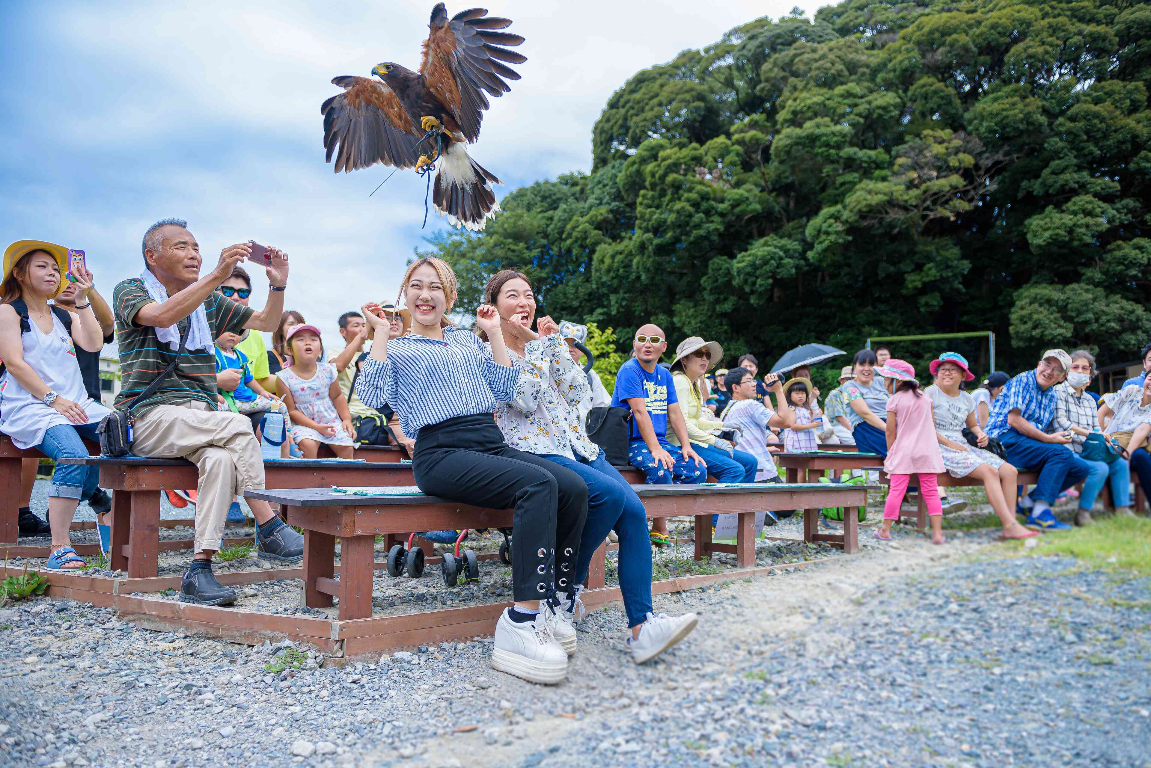 掛川花鳥園 ハローナビしずおか 静岡県観光情報