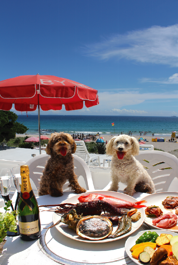 愛犬と一緒にお部屋のテラスでBBQ