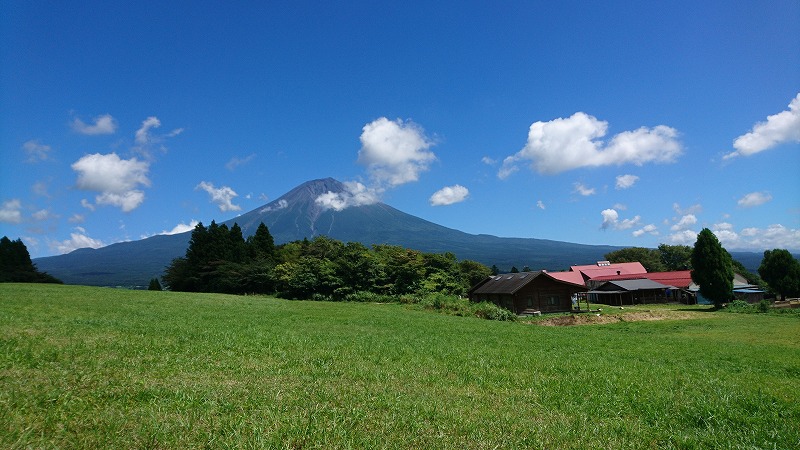 富士山と駿河湾、伊豆半島の眺望が見えます