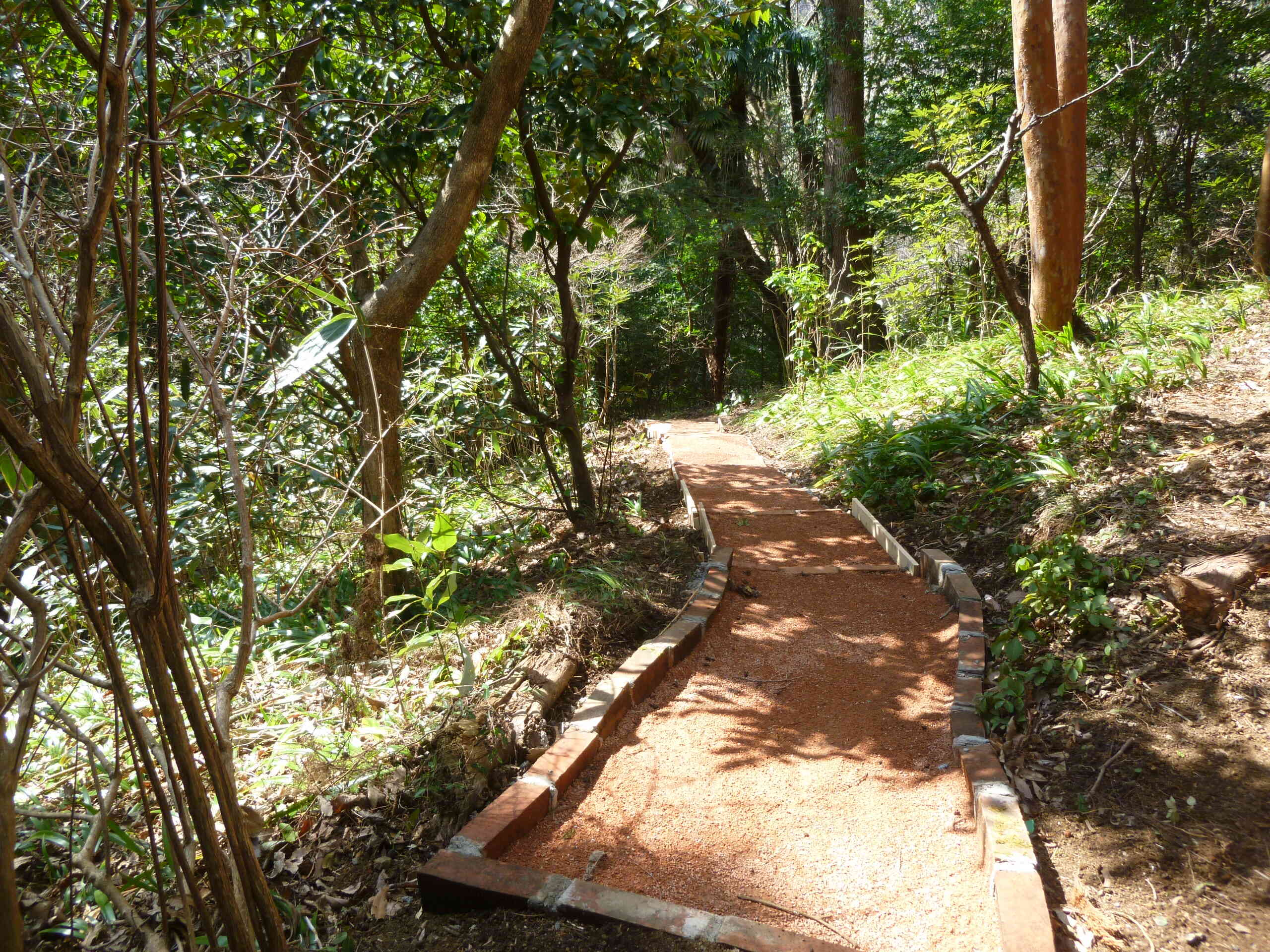 建物へ続くアプローチ