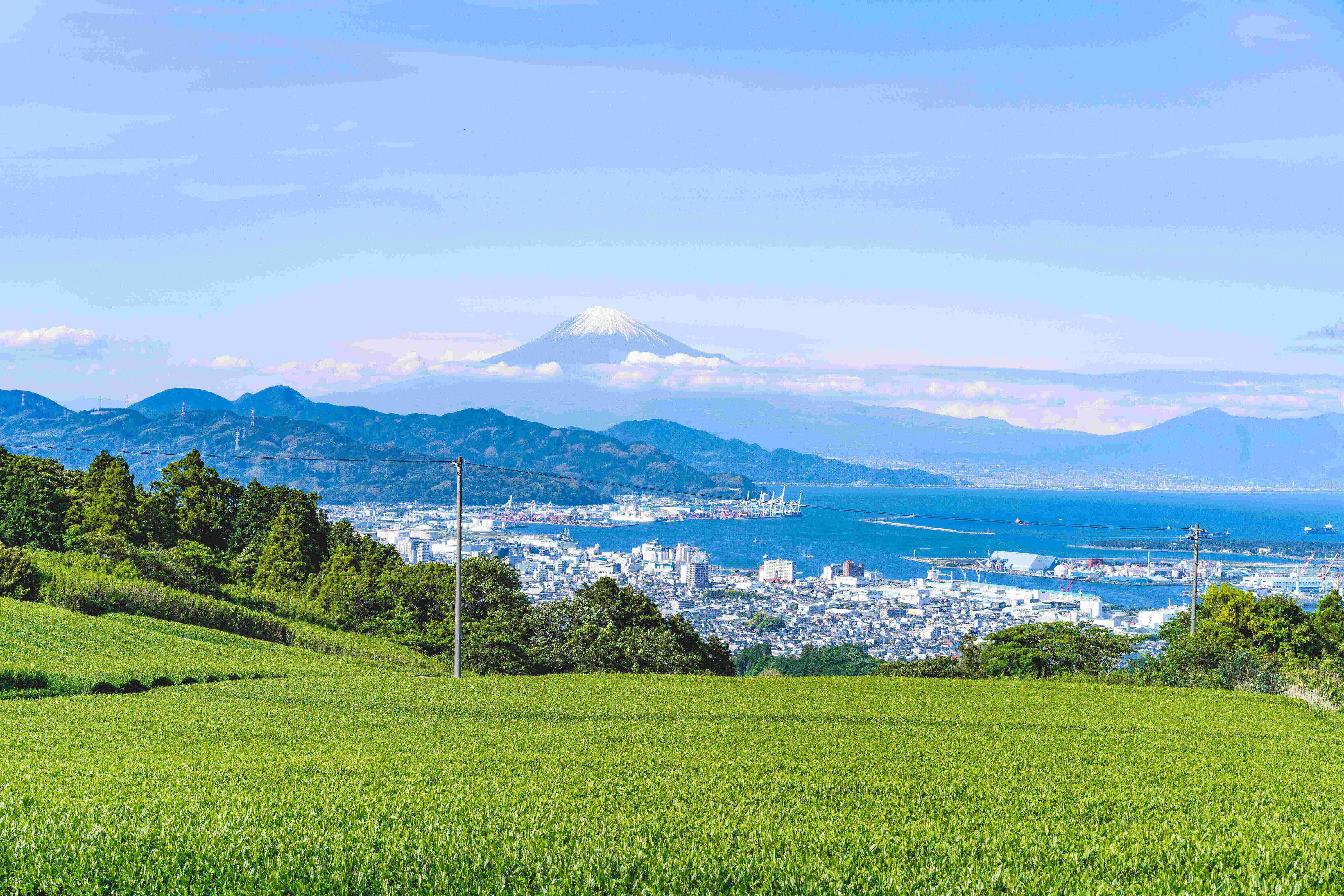 富士山と駿河湾、遠く伊豆半島を一望できるパノラマビューです