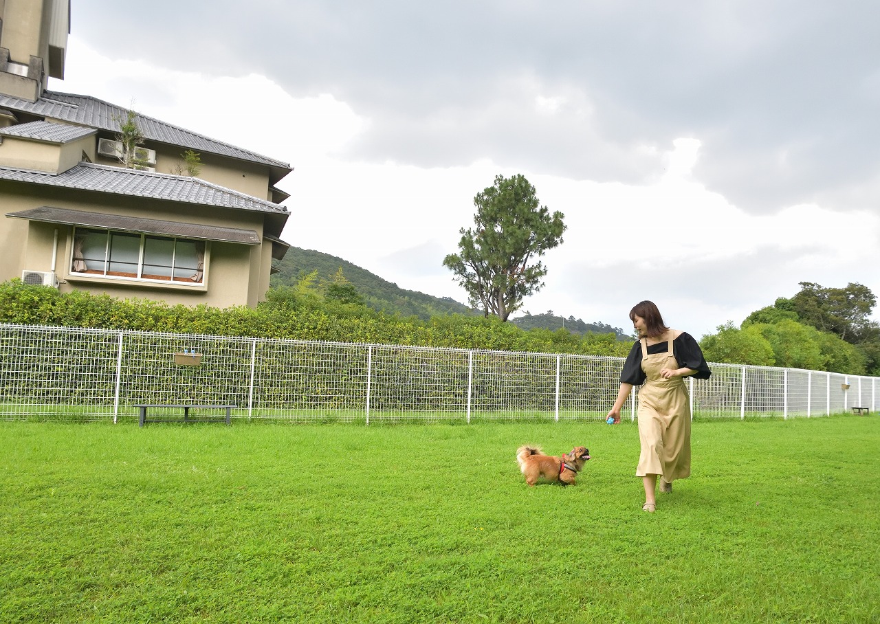 広々としたドッグランで愛犬と思いっきり遊べます