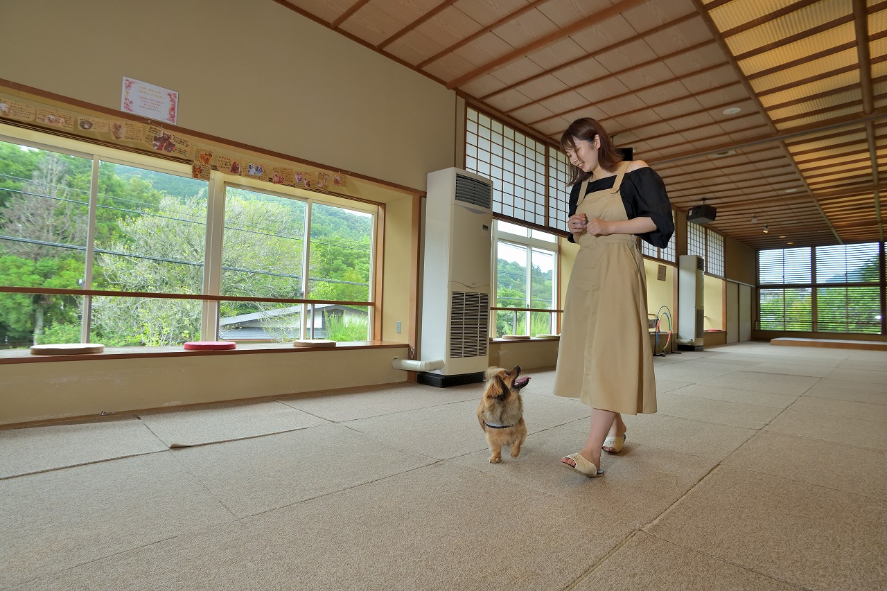 お天気に左右されずにお遊びできる室内ドッグランを完備