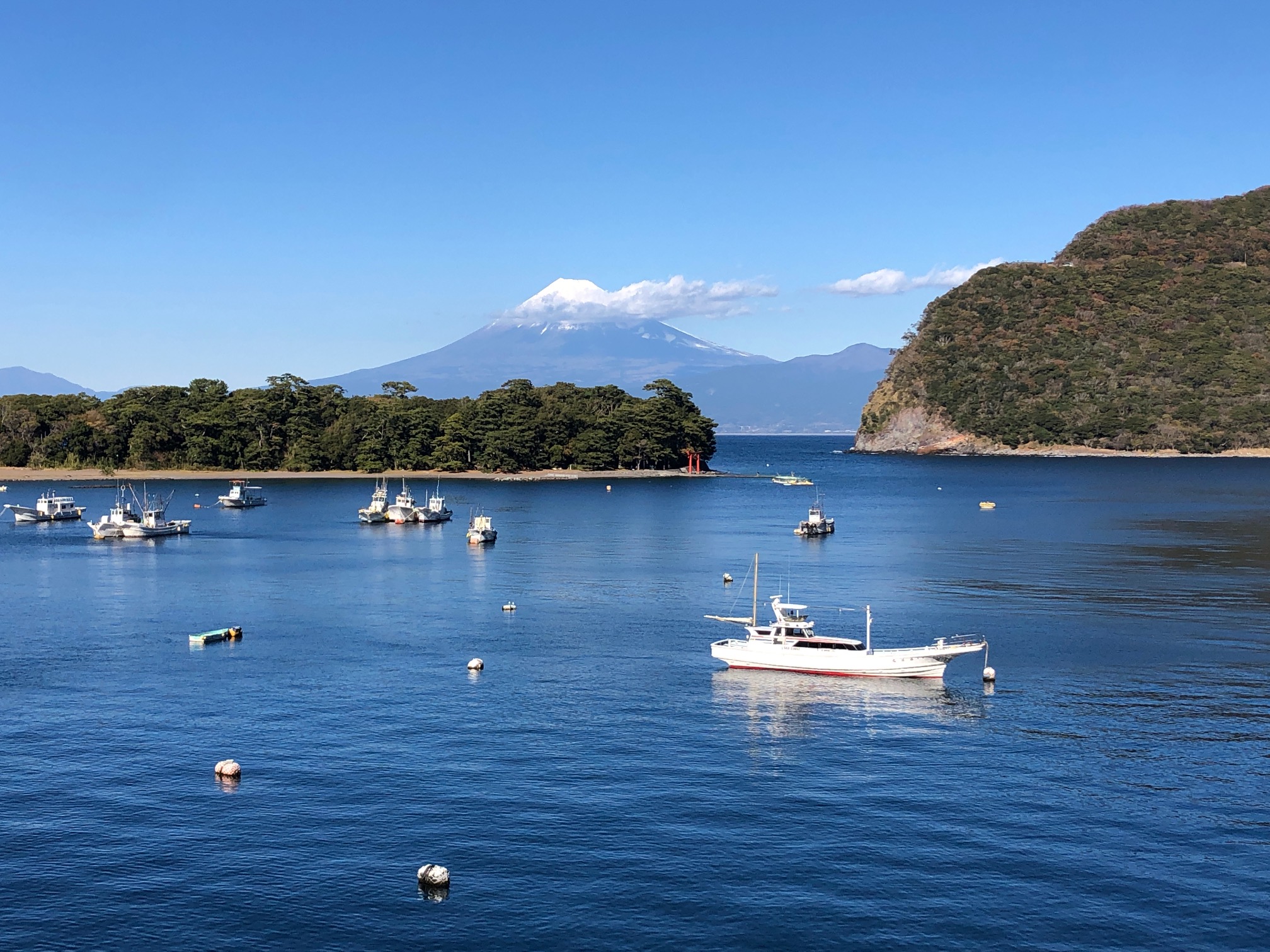 お天気が良ければ富士山と戸田湾の眺めが最高です