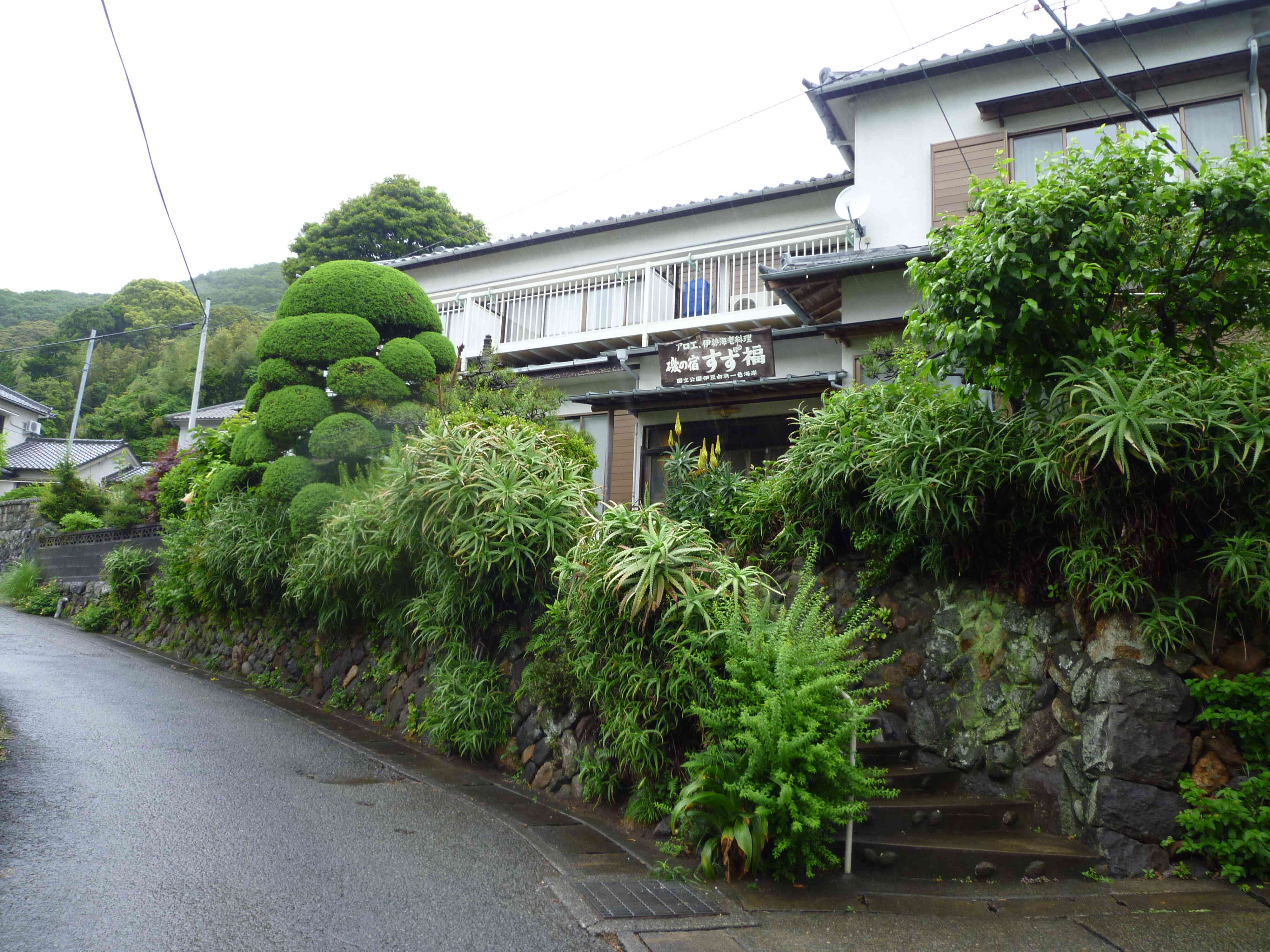 キダチアロエに囲まれた料理自慢の宿です。
