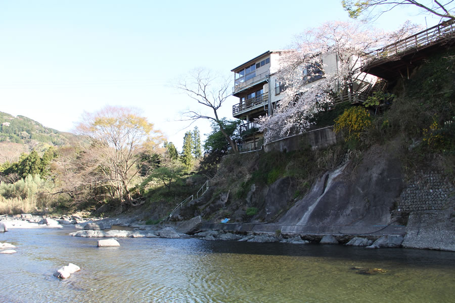 あこがれ亭 ハローナビしずおか 静岡県観光情報