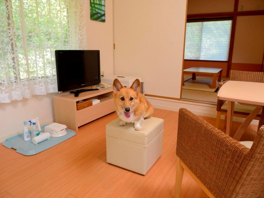 客室（ペット同伴）一例