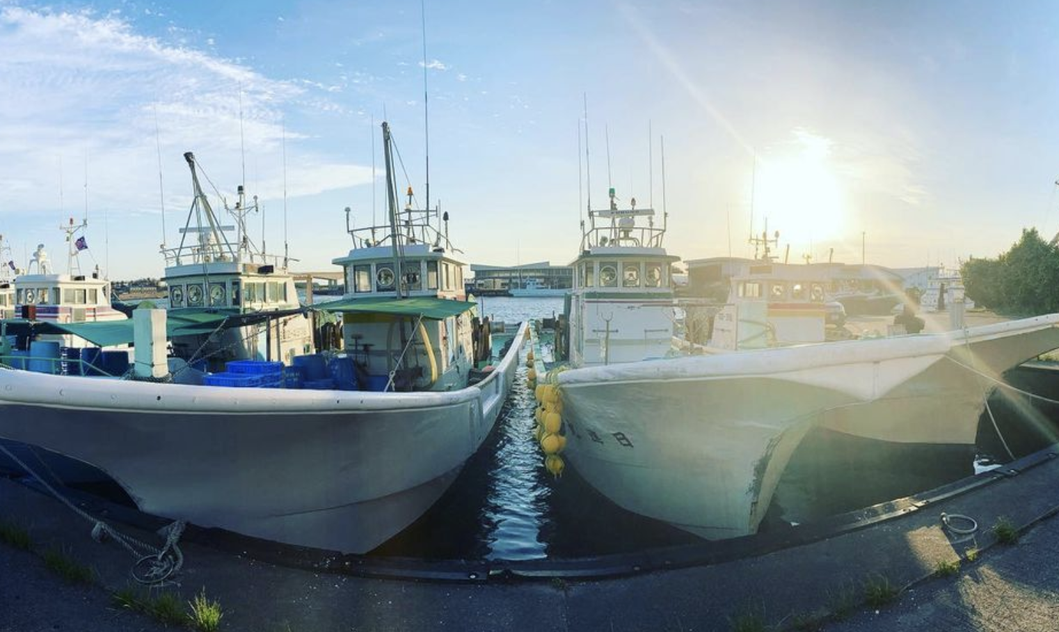 漁業が盛んな街で、近くの飲食店で一年を通して美味しいお魚を召し上がりいただけます。