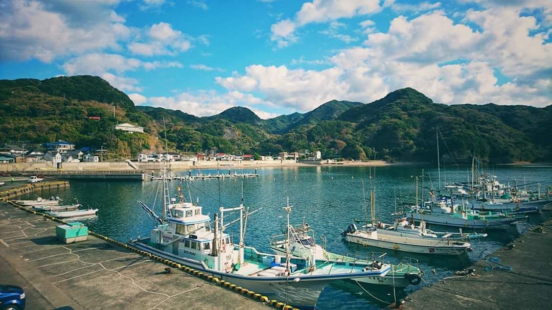 宿から歩いてすぐの漁港風景