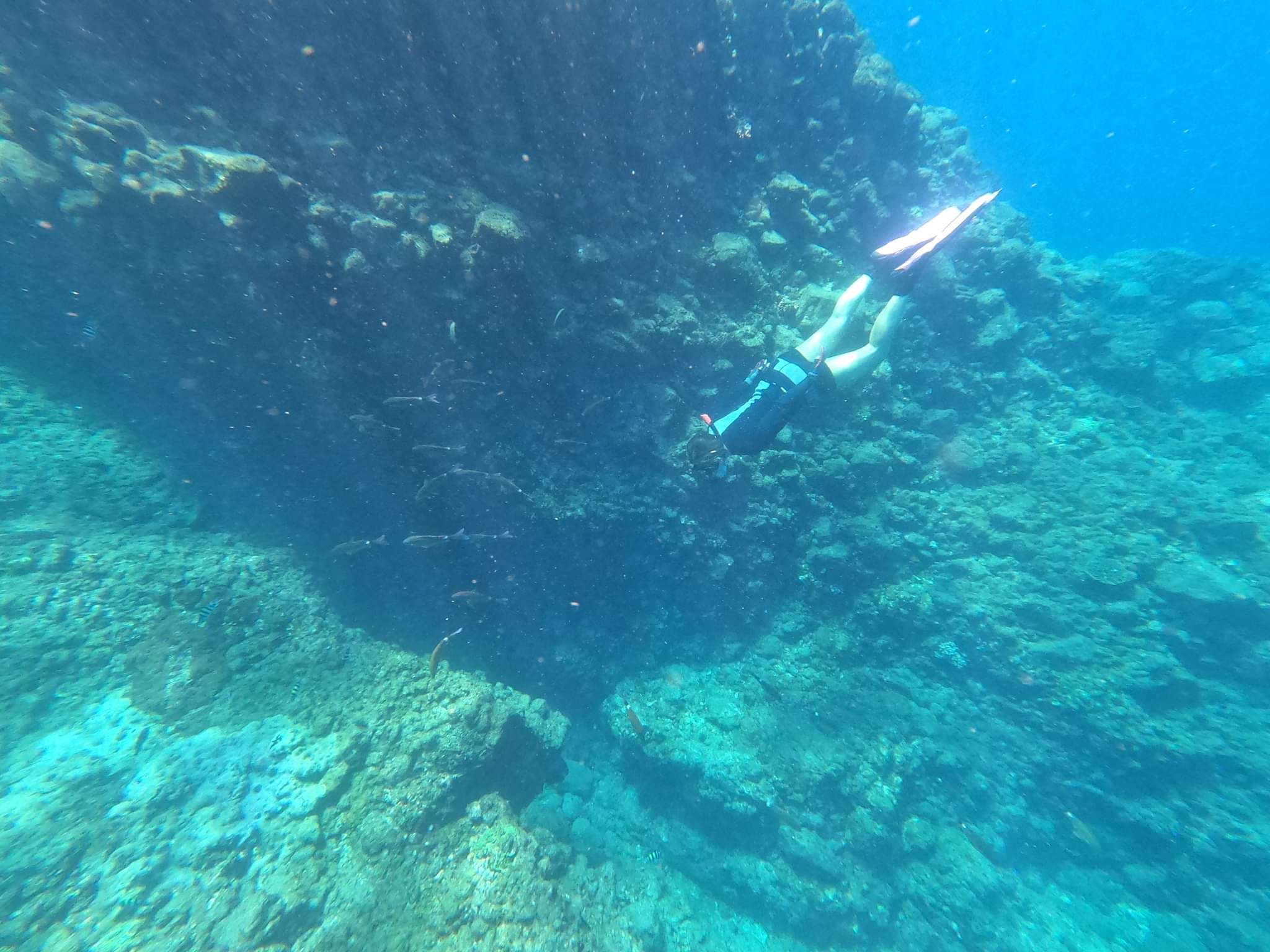 海ではスノーケルやスキンダイビングも