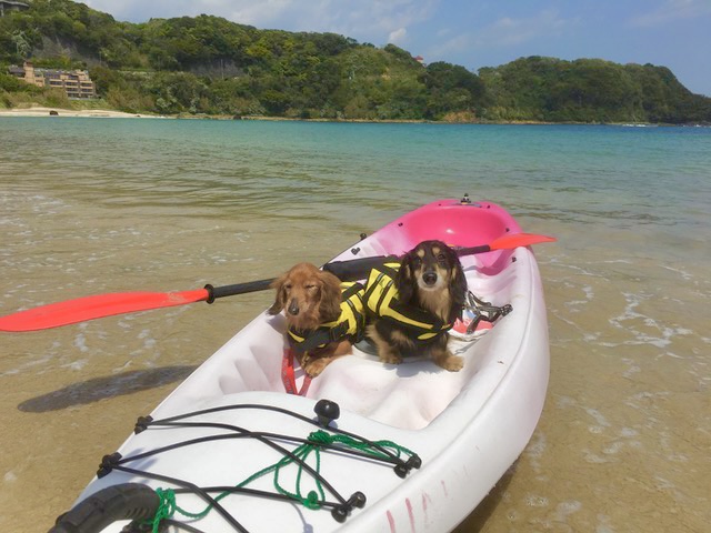 波がおだやかな外浦海岸まで徒歩１０秒！