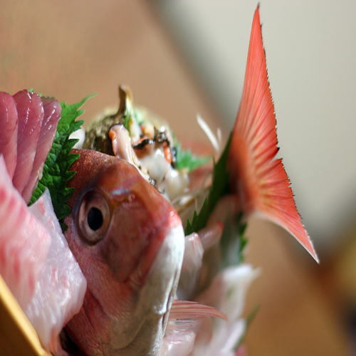 地物の新鮮な食材にこだわりを持ち仕入れた食材をつかい板前の主人がつくる自慢の磯料理