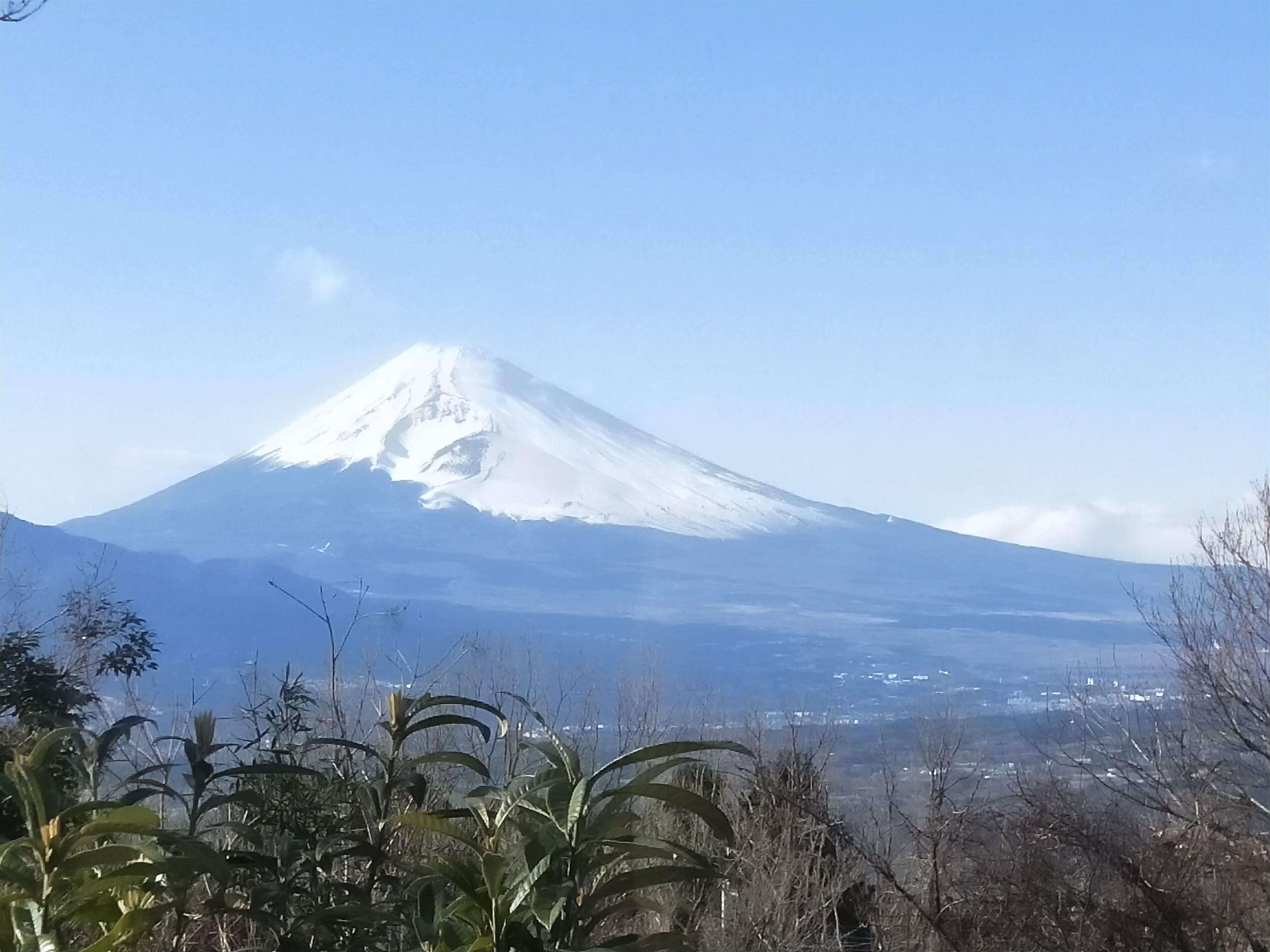 富士山が見える宿