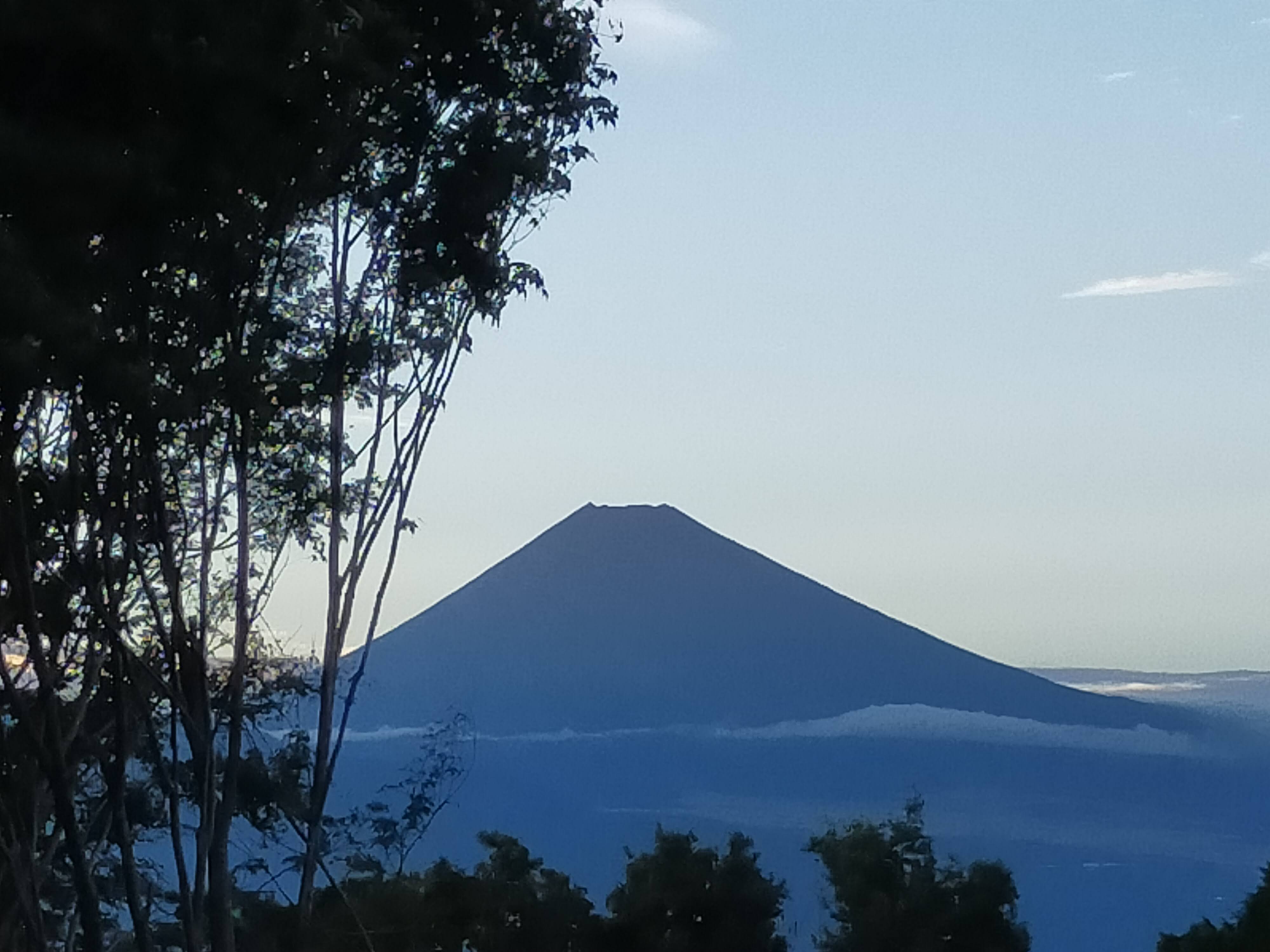 富士山が見える宿