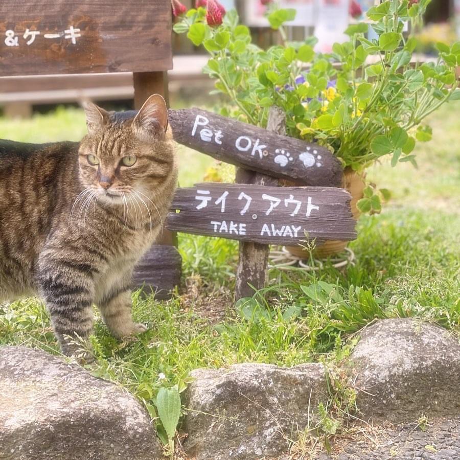 テイクアウトできます。