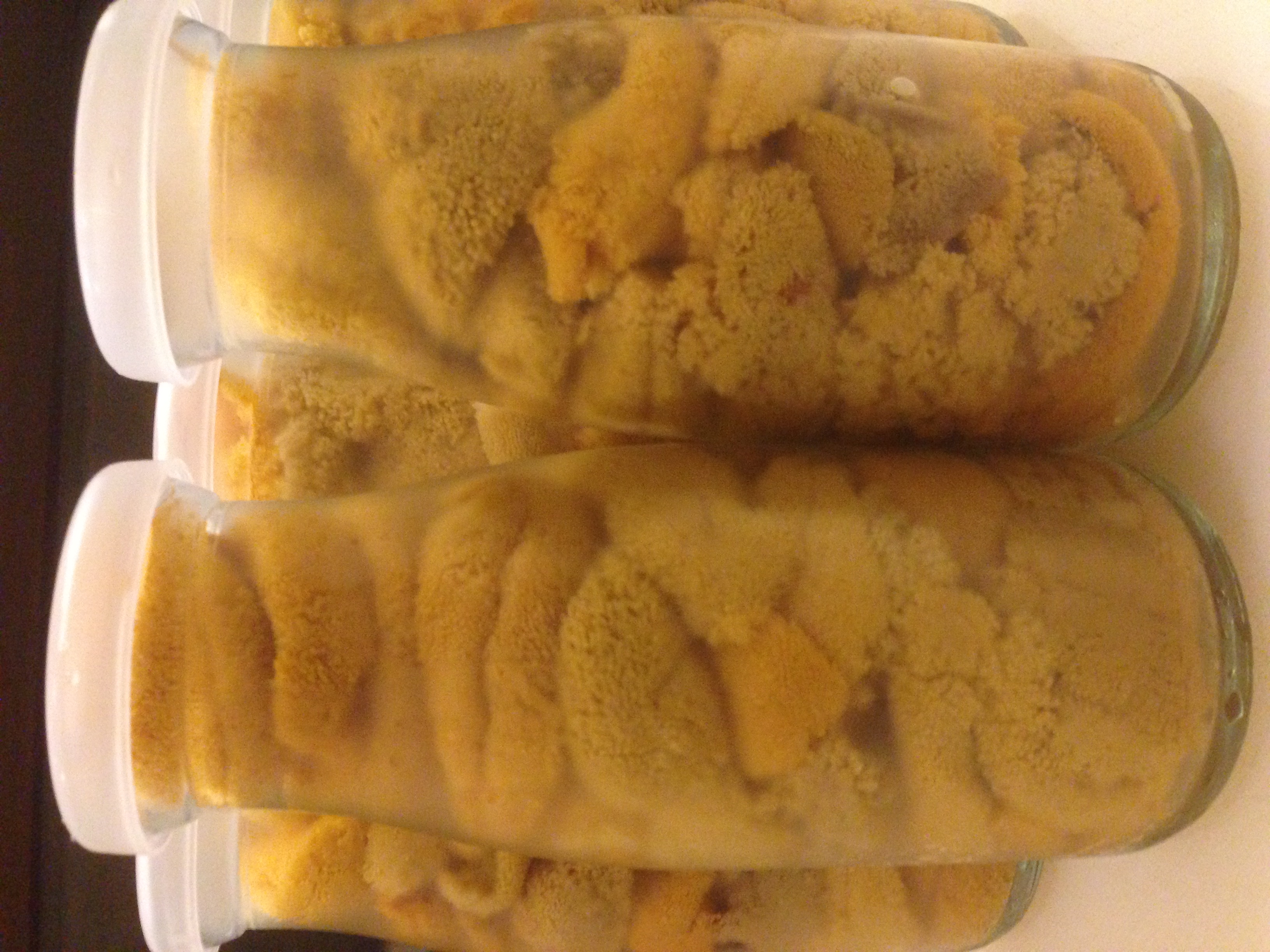 岩手県大船渡港から直送の「紫ウニ」(4月～8月)。