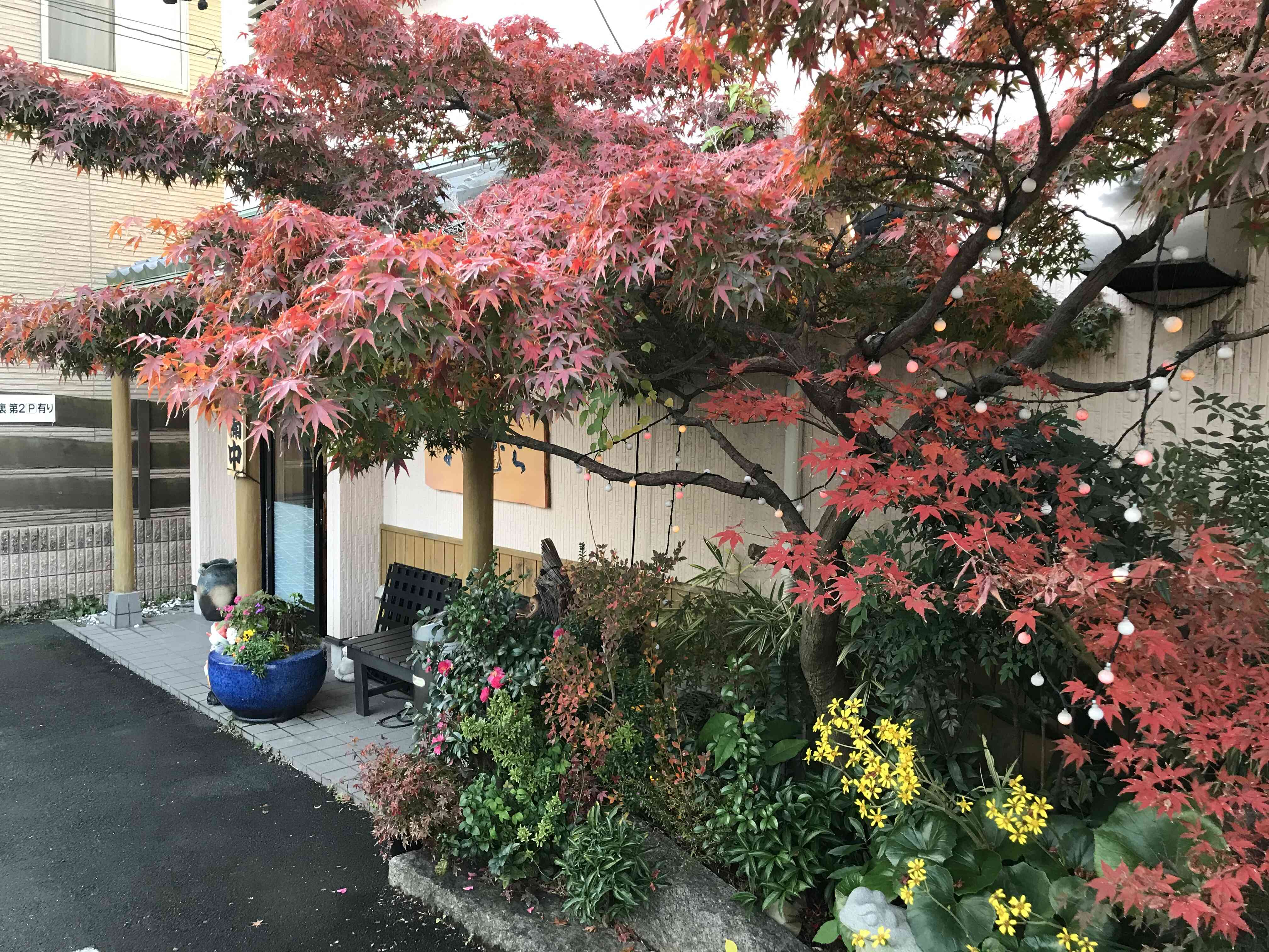 店前