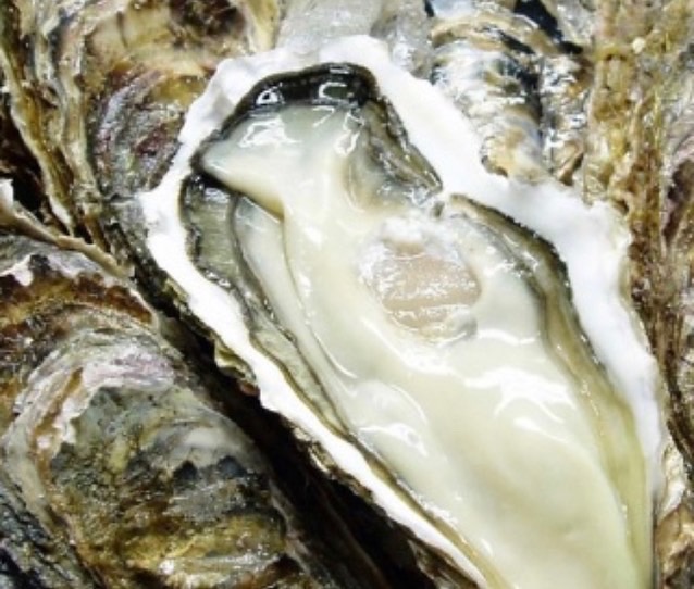 10月〜5月まで三陸産殻付き生牡蠣
6月〜9月まで岩牡蠣を提供しております。