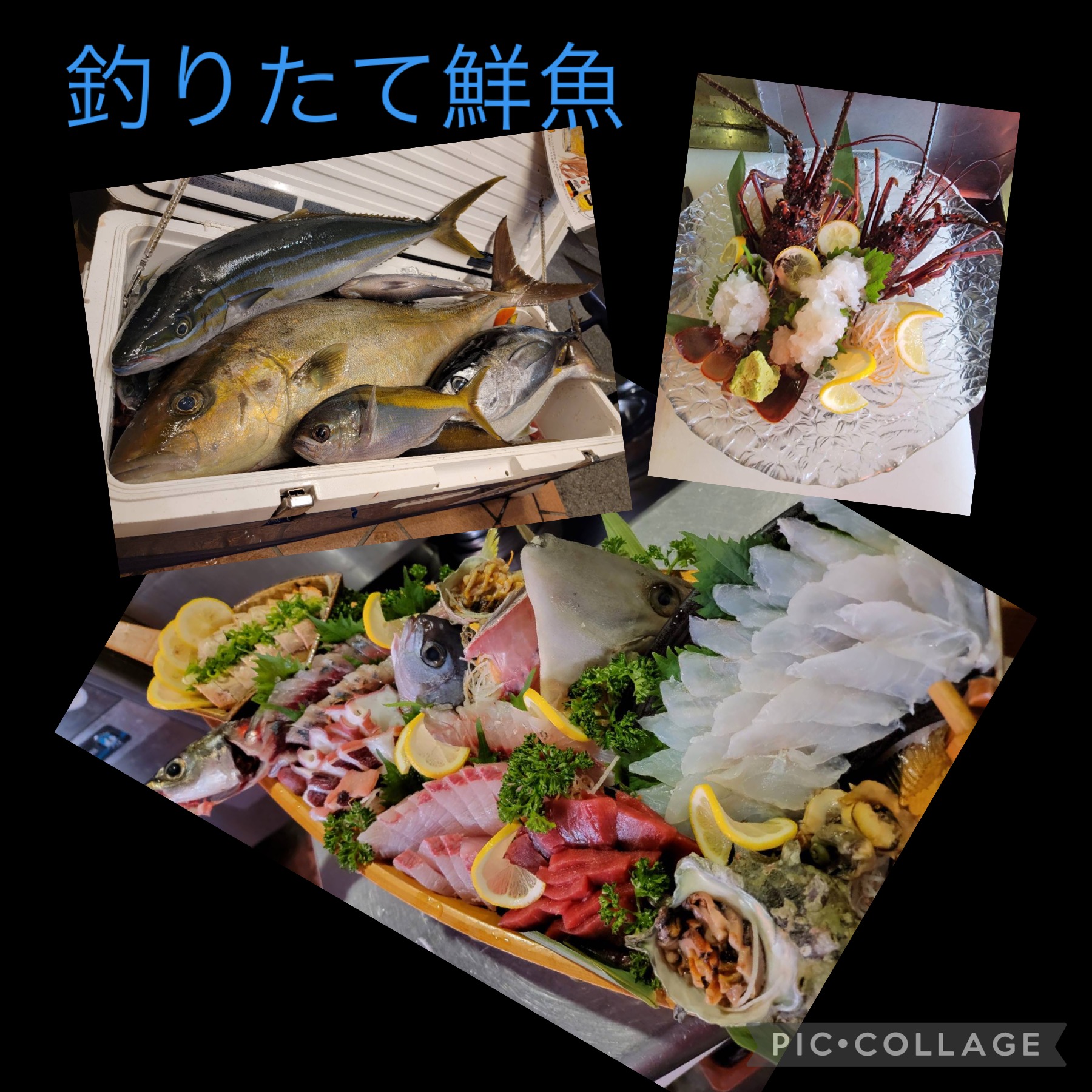 店主自ら釣ったお魚を使用した船盛