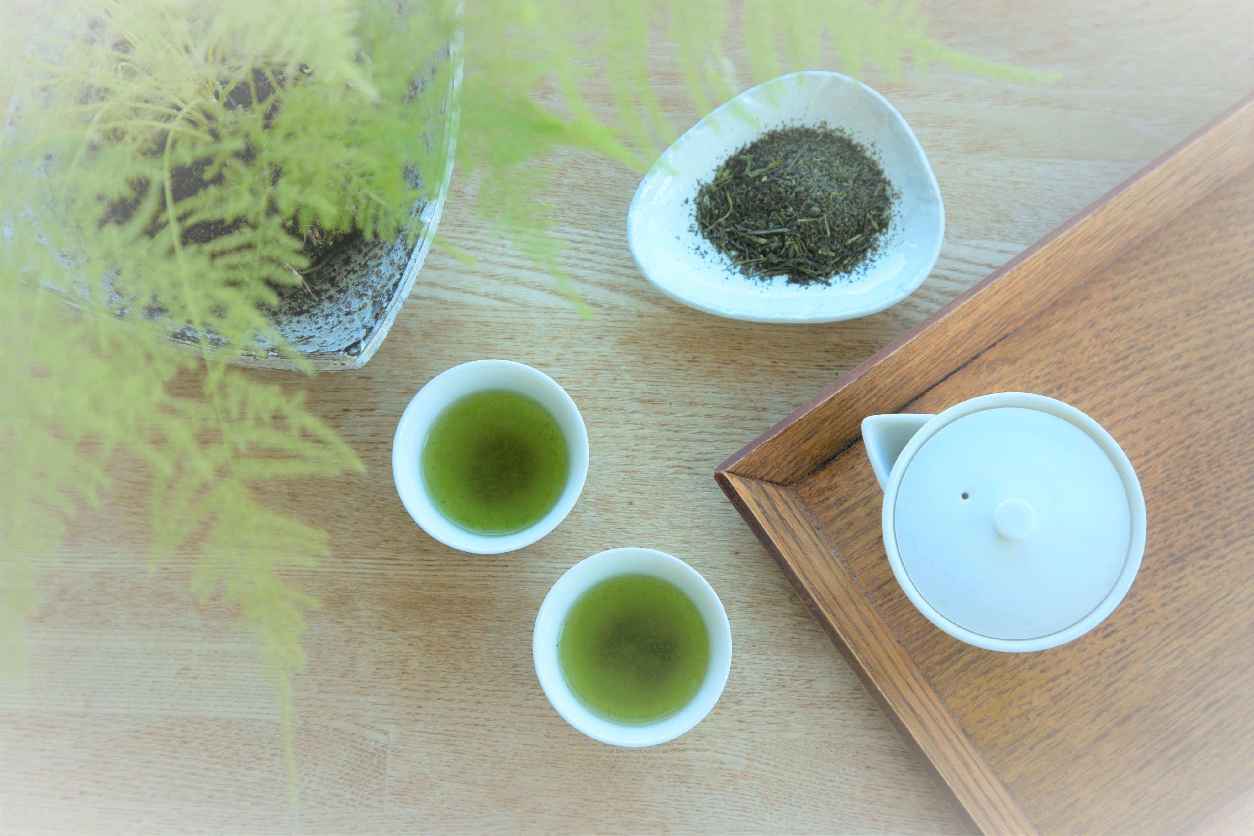 緑の美しい深蒸し茶