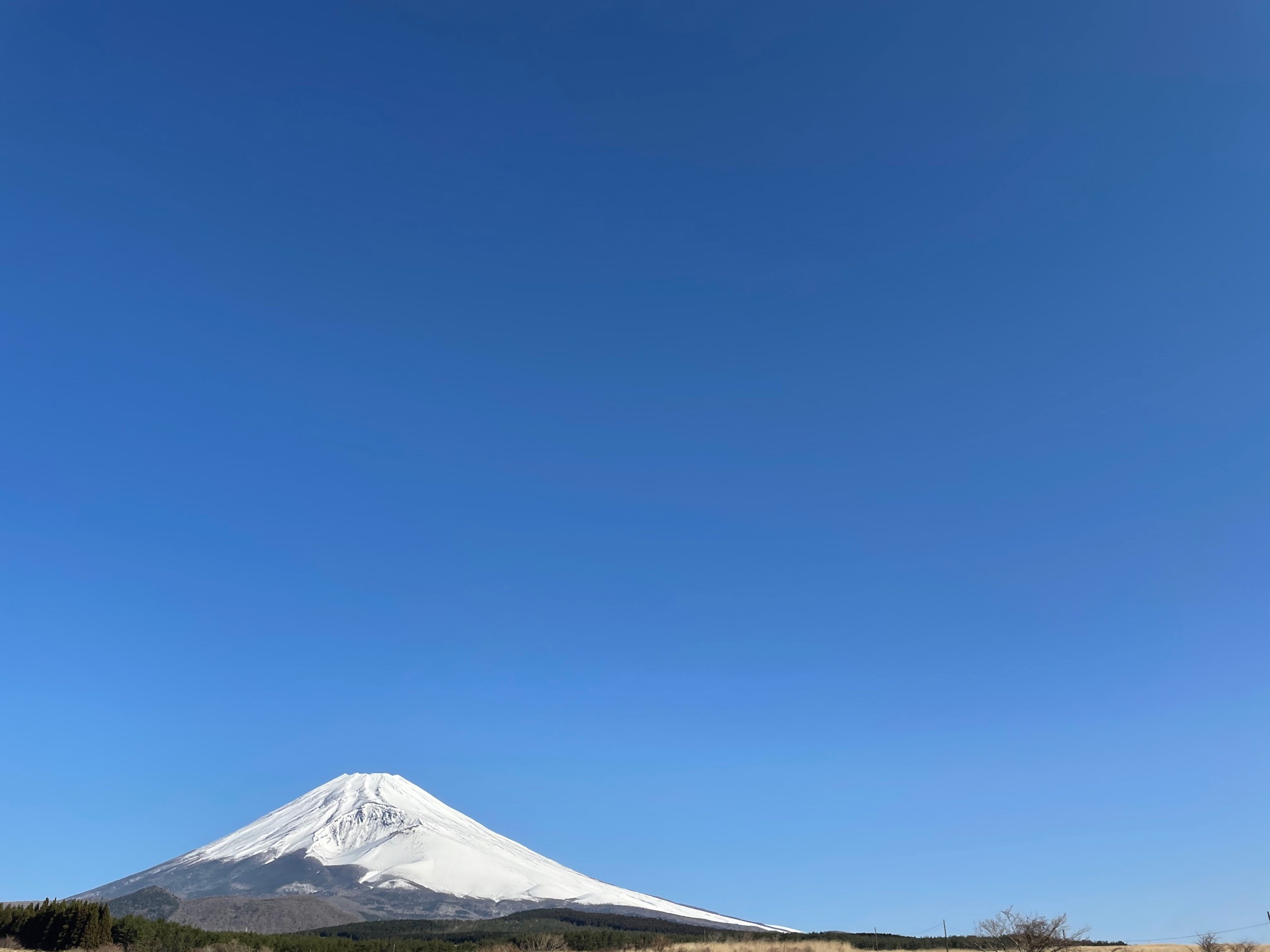 標高1000mから望む富士山は圧巻です