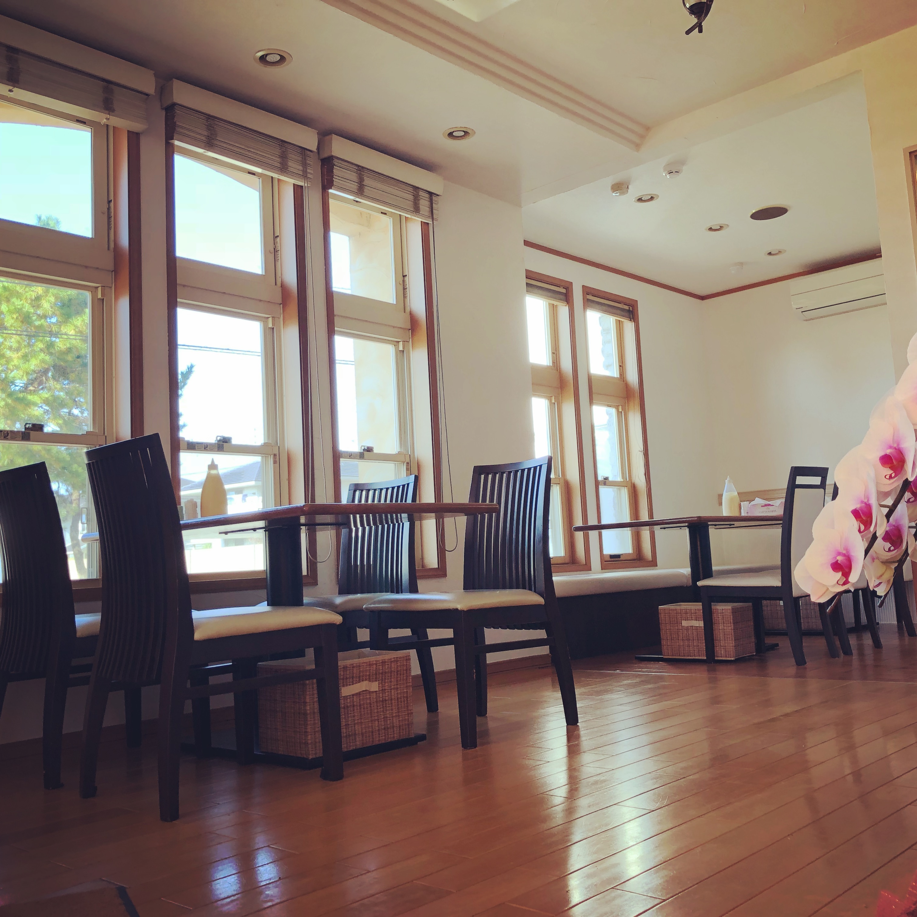 店内もカフェ風の雰囲気です。テーブル席のみ7卓ございます。
落ち着いた雰囲気でお食事をお楽しみください。