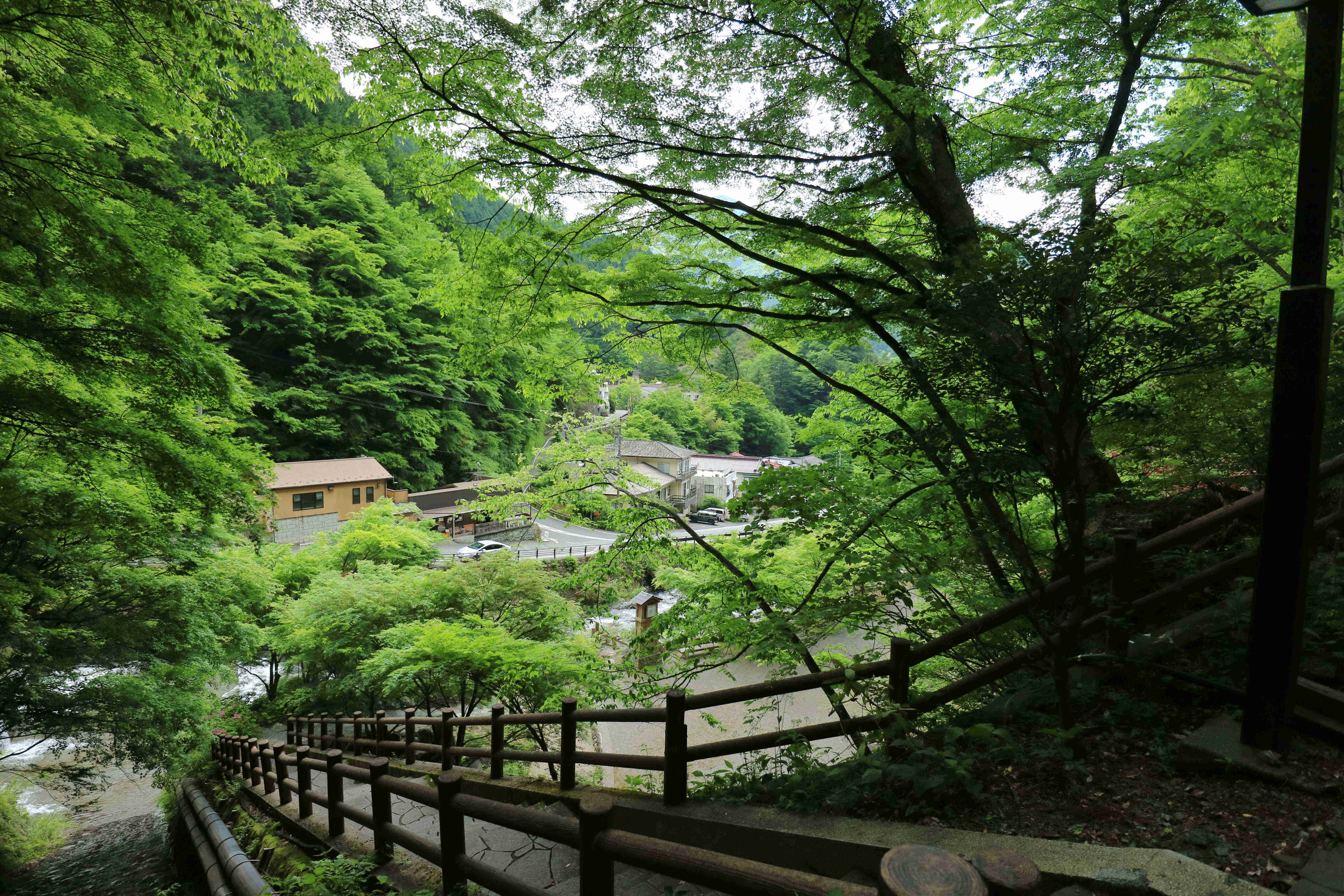 梅ヶ島温泉おゆのふるさと公園から望む湯元屋と温泉街