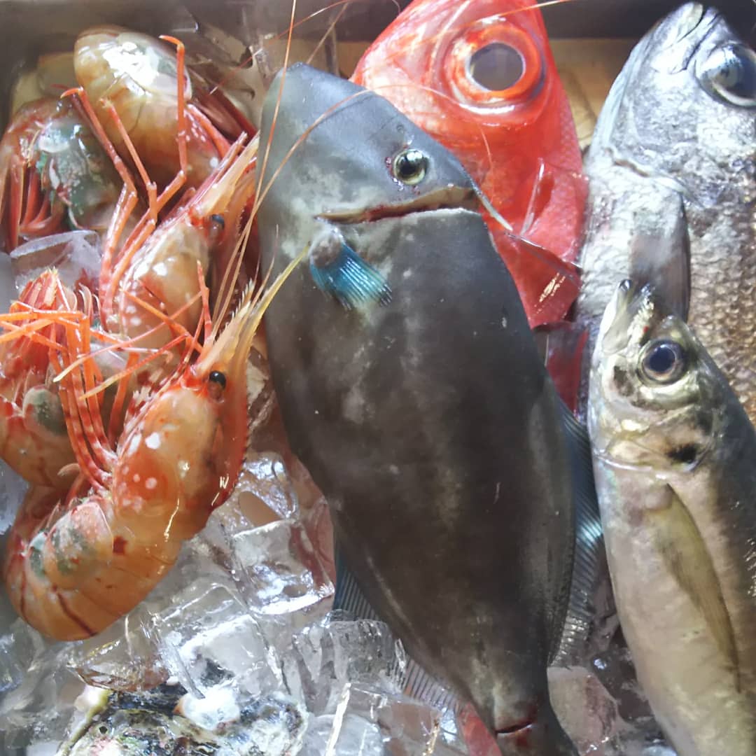 旬の魚貝類