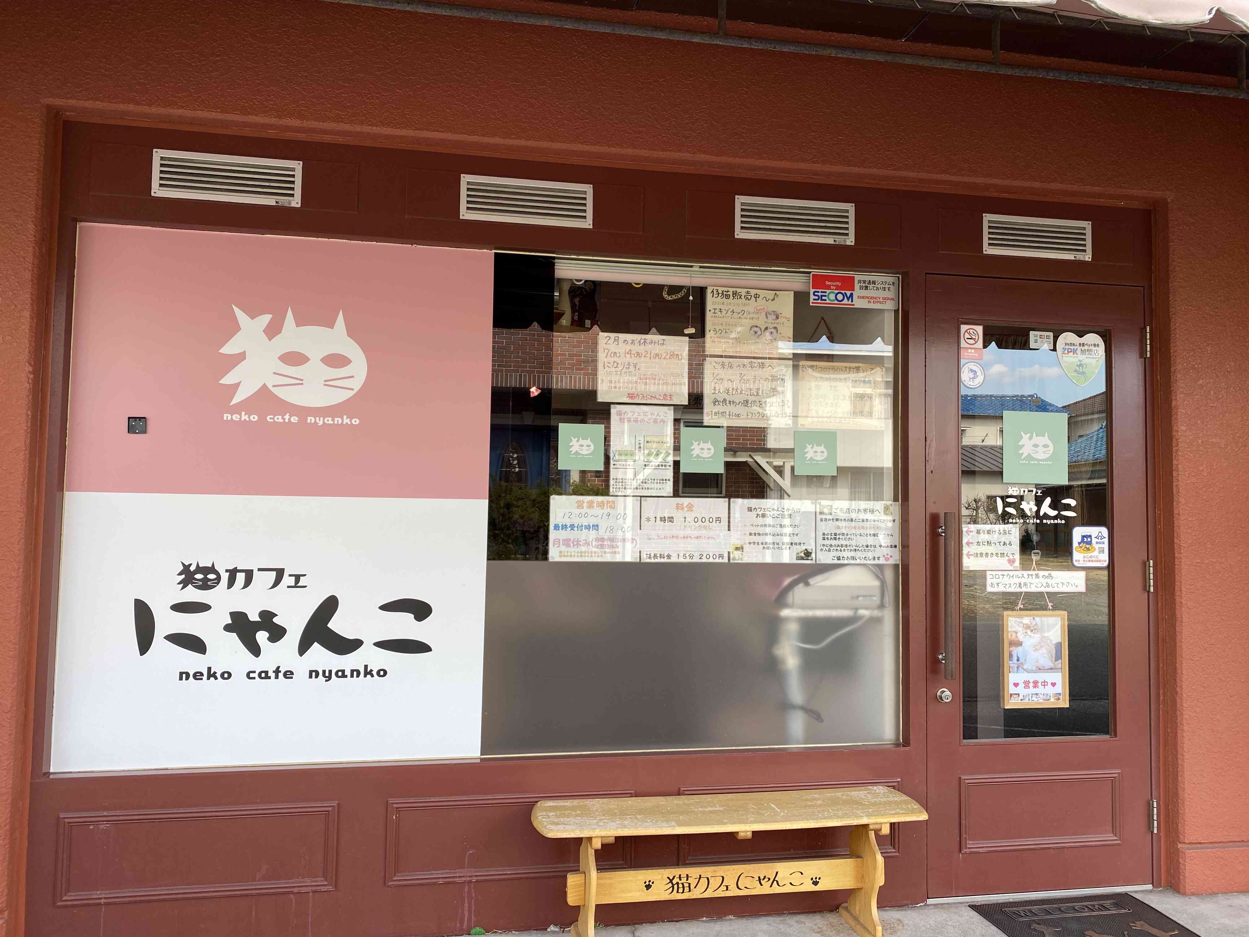 猫カフェ にゃんこ／ハローナビしずおか 静岡県観光情報