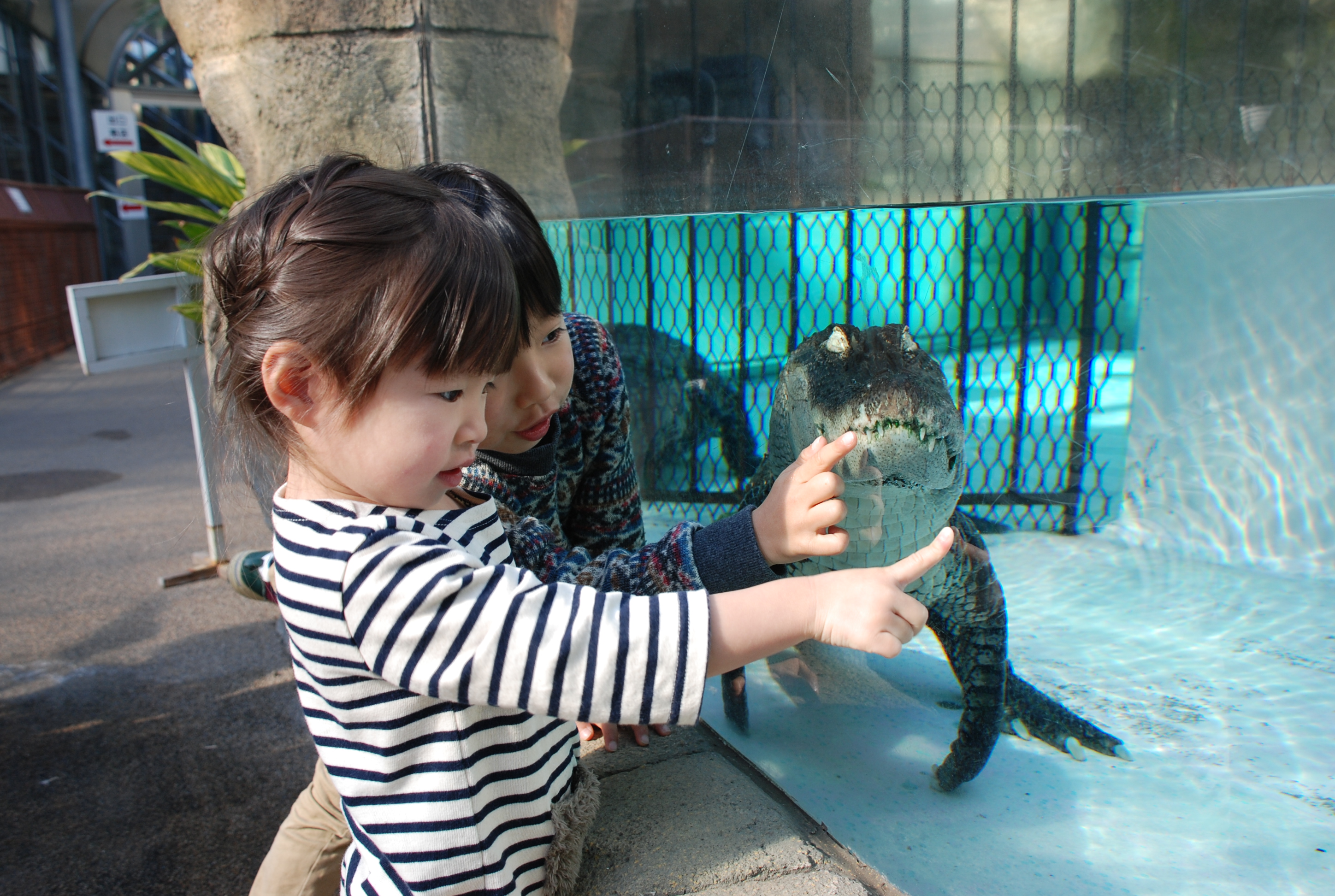 熱川バナナワニ園