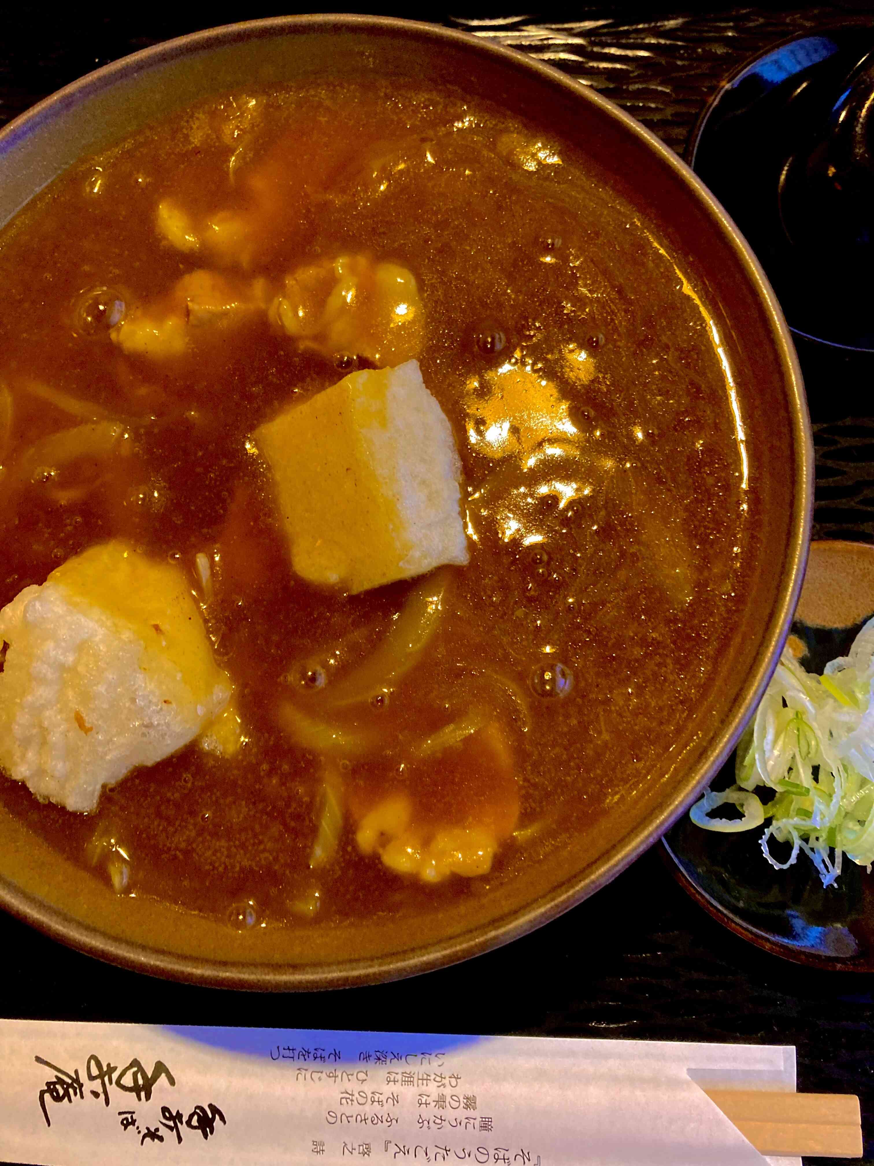 カレー南蛮揚げ餅入り