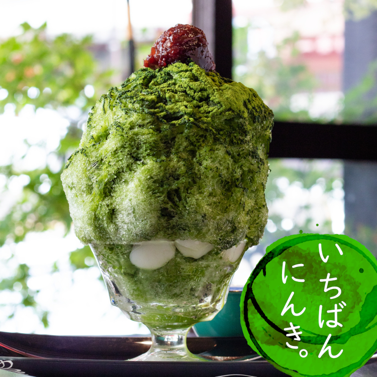 夏季限定、静岡抹茶のかき氷。