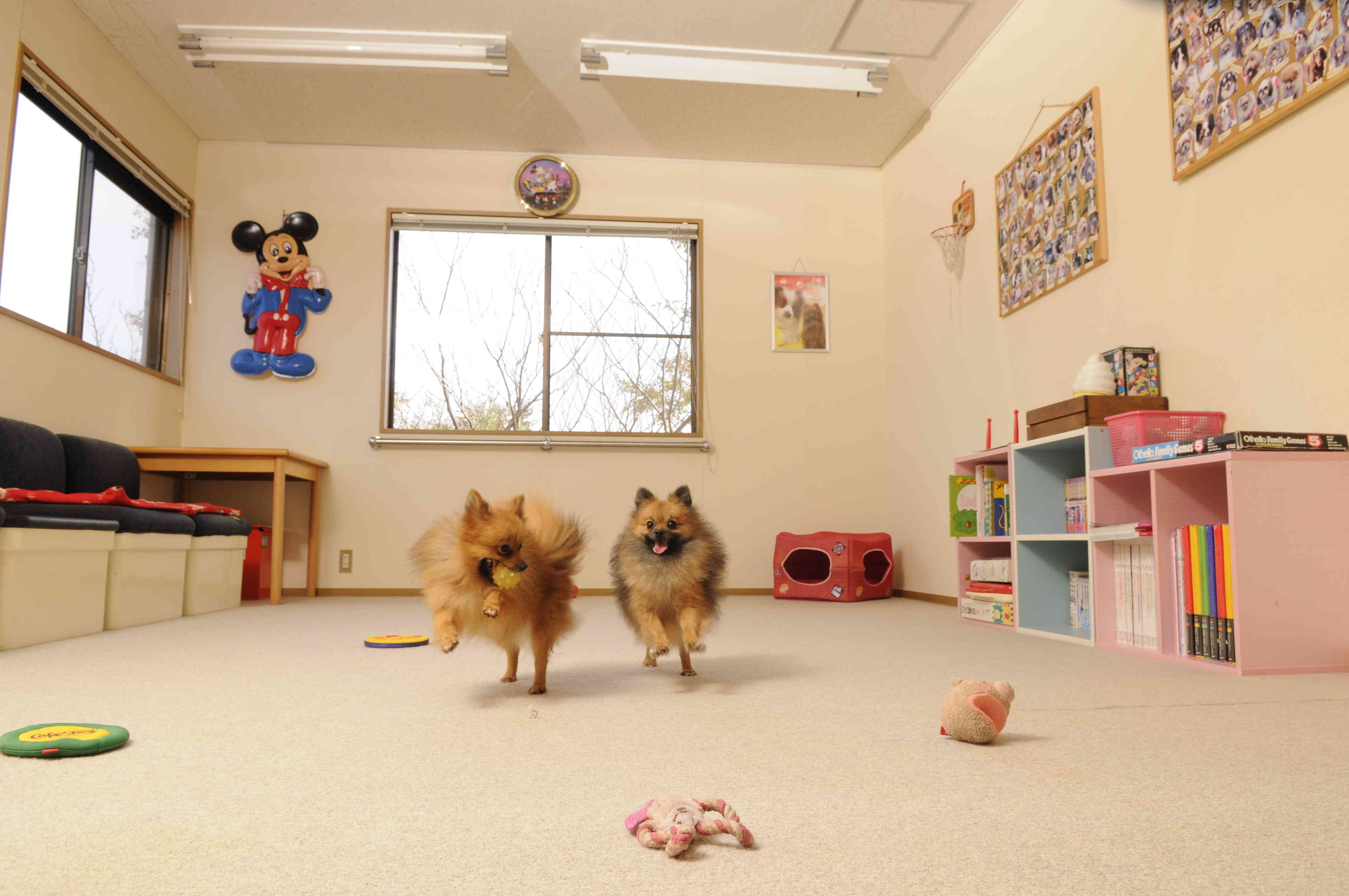 冷暖房完備の室内プレイルーム。窓からは富士山が見えます。