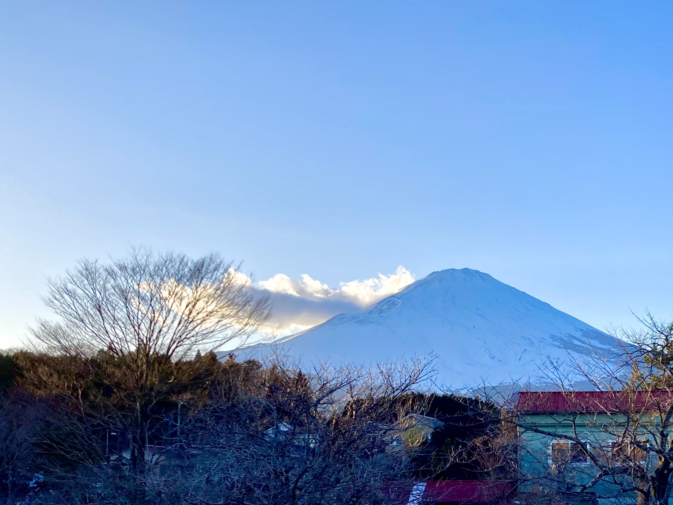 お部屋から富士山を堪能